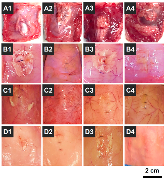Polymers 14 03909 g010 Polymers 14 03909 g010