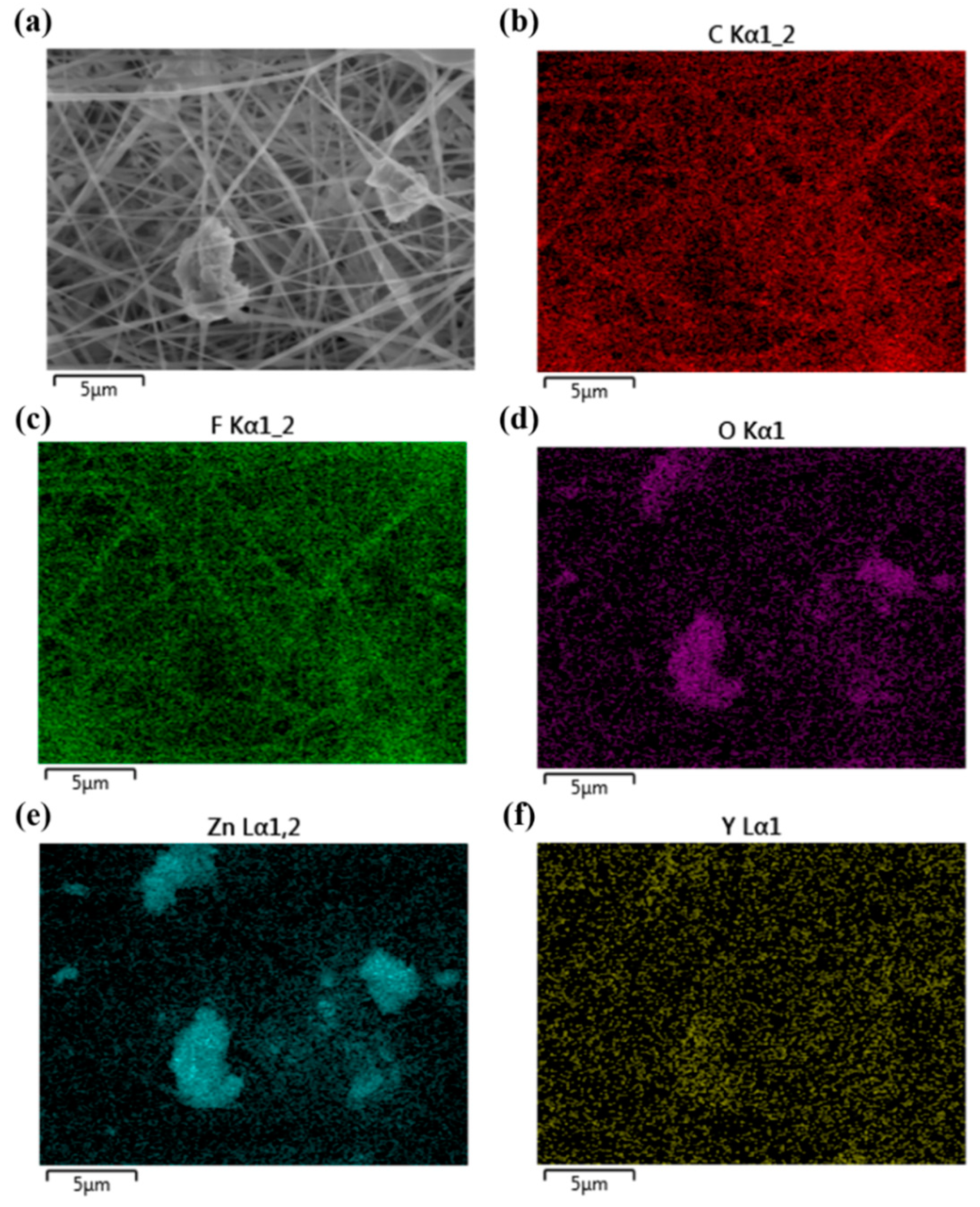 Polymers 14 03912 g004