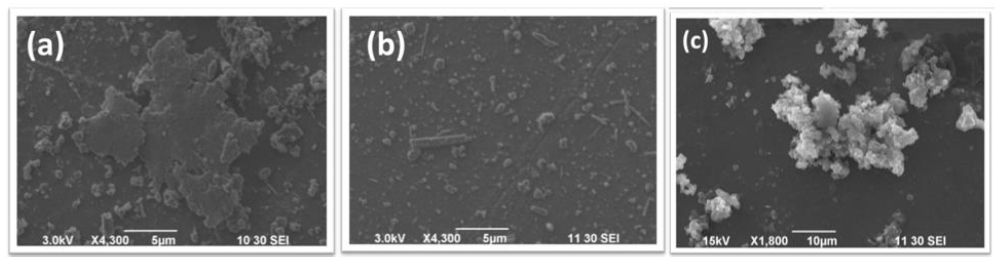 Polymers 14 03913 g005