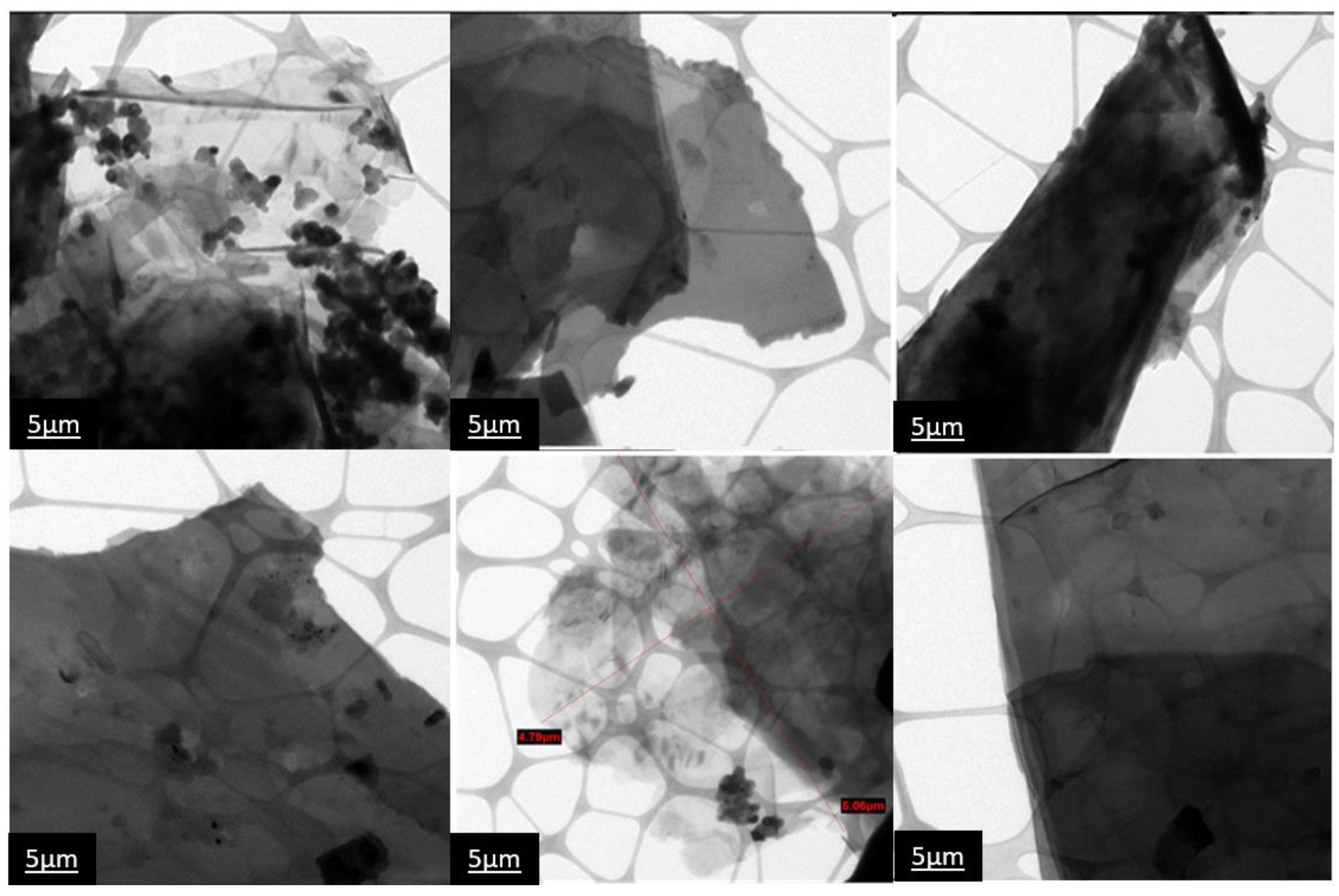 Polymers 14 03913 g006