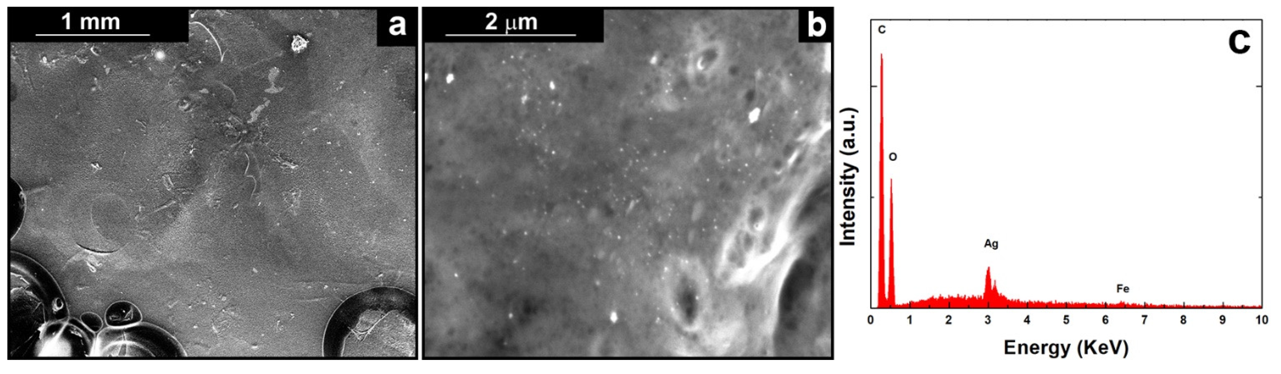 Polymers 14 03915 g003