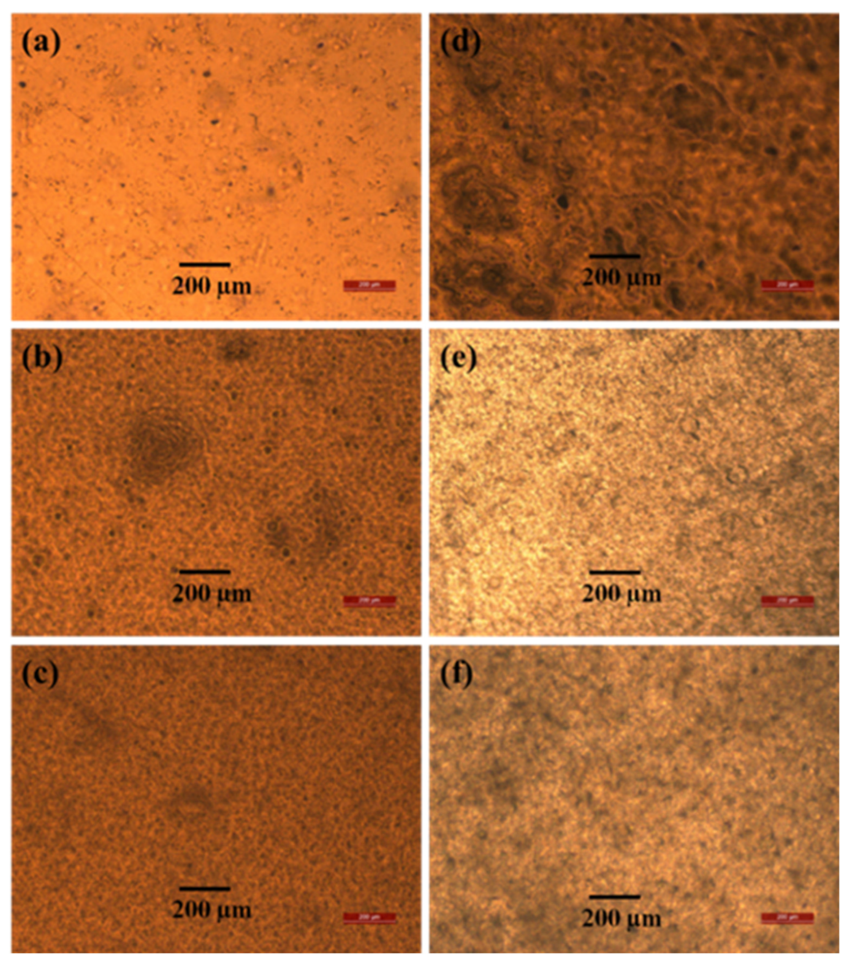 Polymers 14 03916 g002 Polymers 14 03916 g002