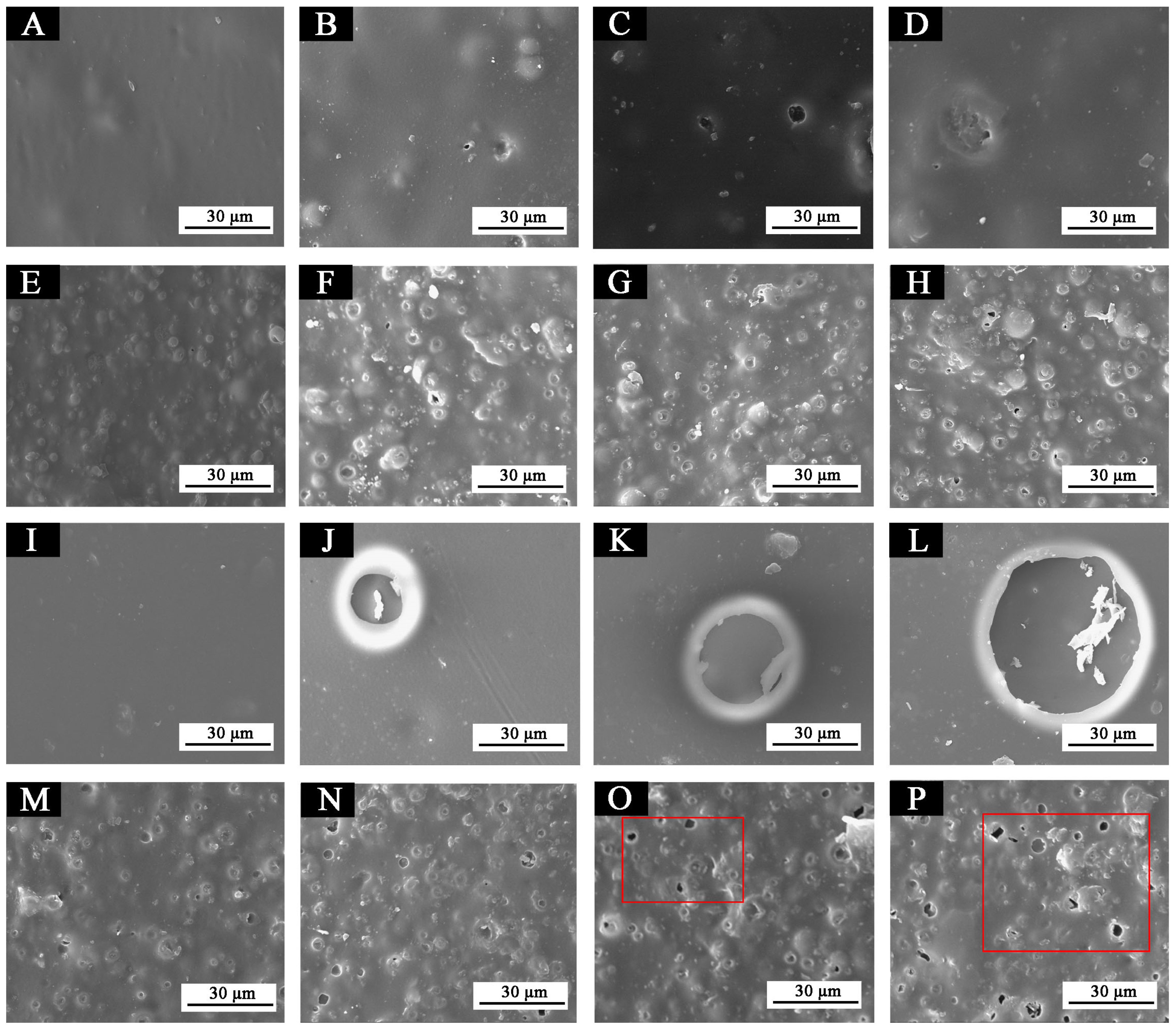 Polymers 14 03919 g016 Polymers 14 03919 g016