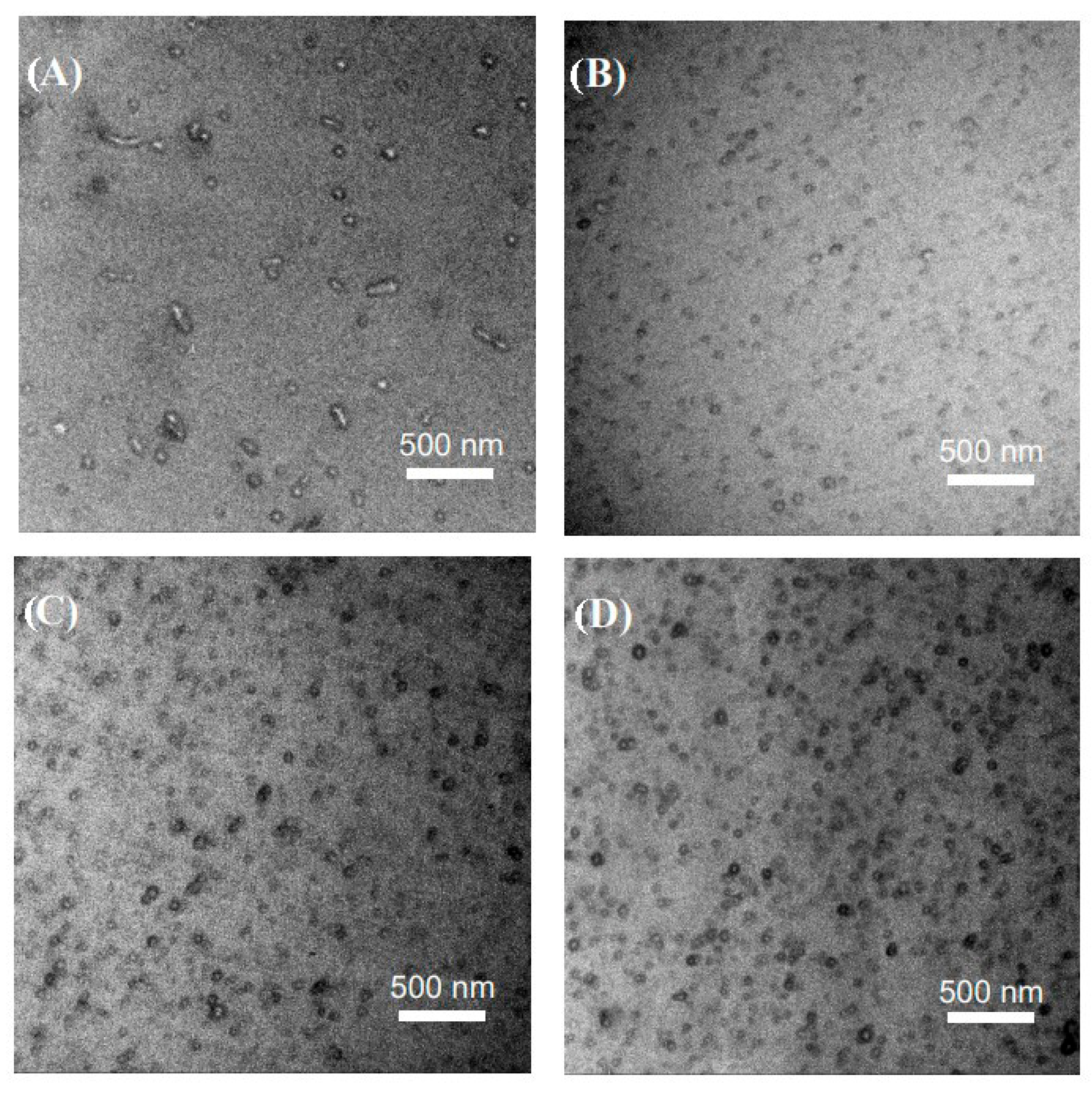 Polymers 14 03921 g004