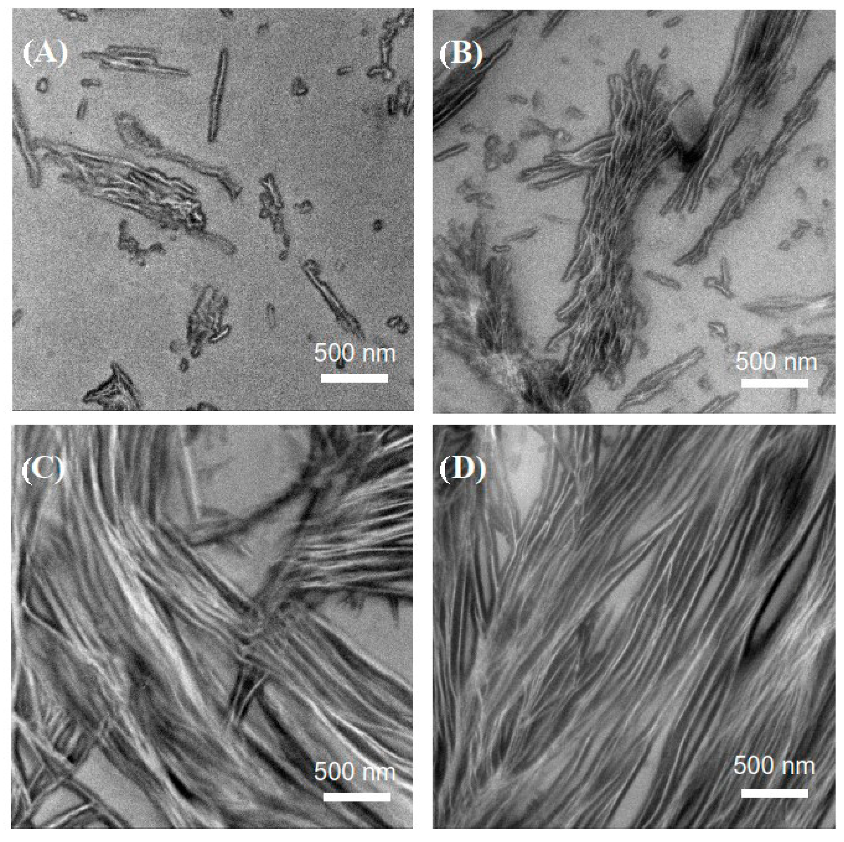 Polymers 14 03921 g005