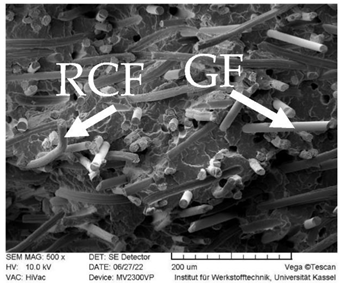 Polymers 14 03929 i004