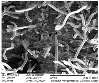 Polymers 14 03929 i005
