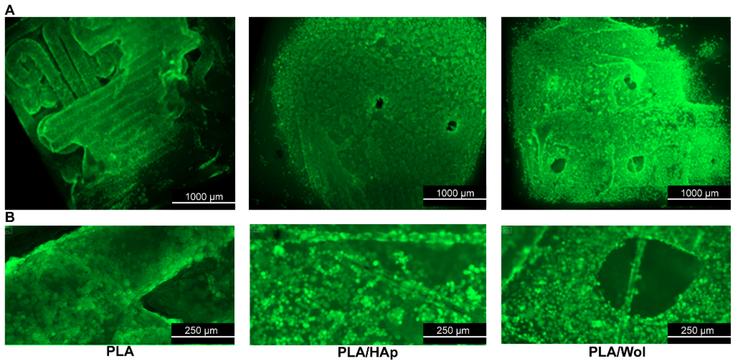 Polymers 14 03932 g008 Polymers 14 03932 g008
