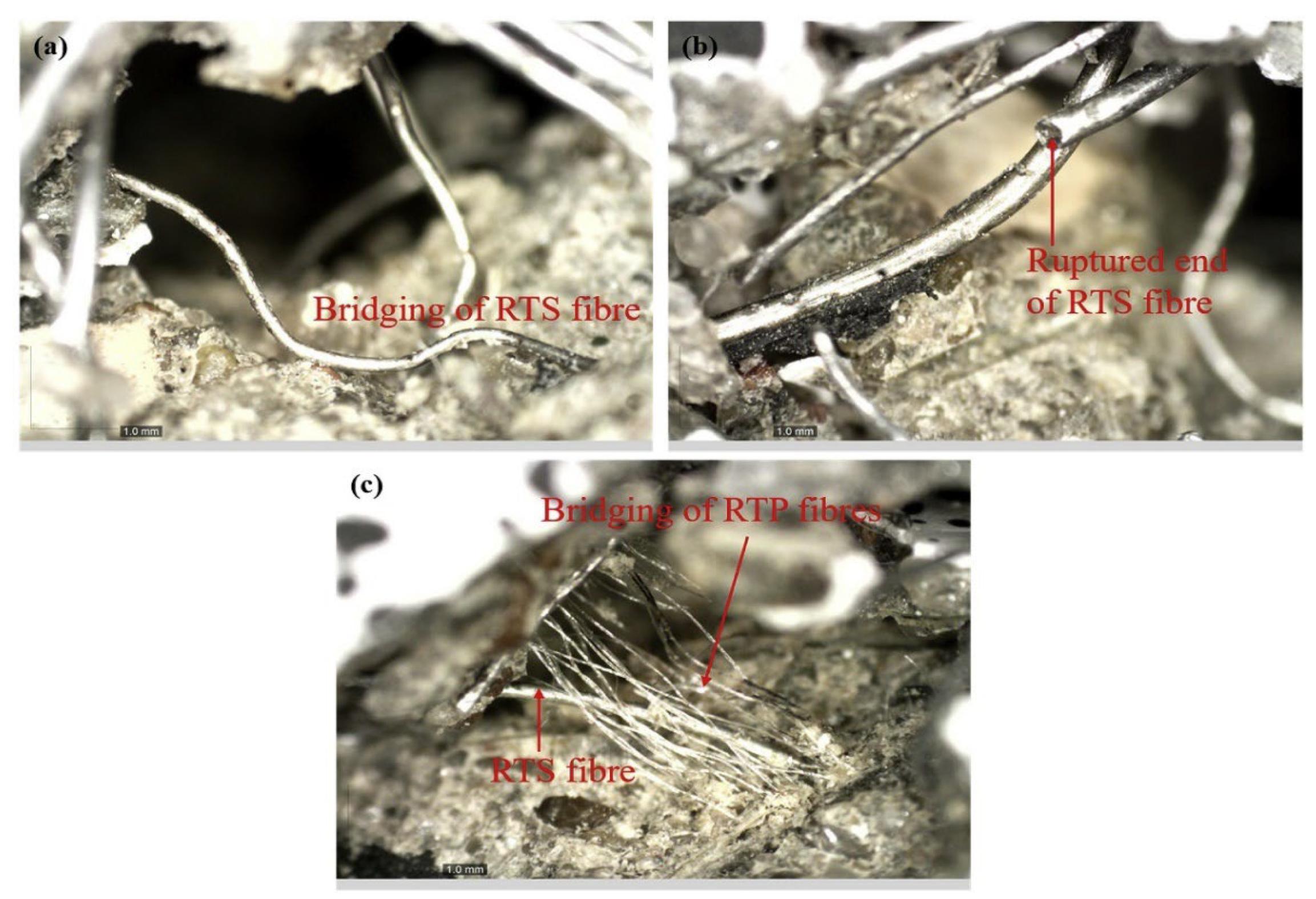 Polymers 14 03933 g010 Polymers 14 03933 g010