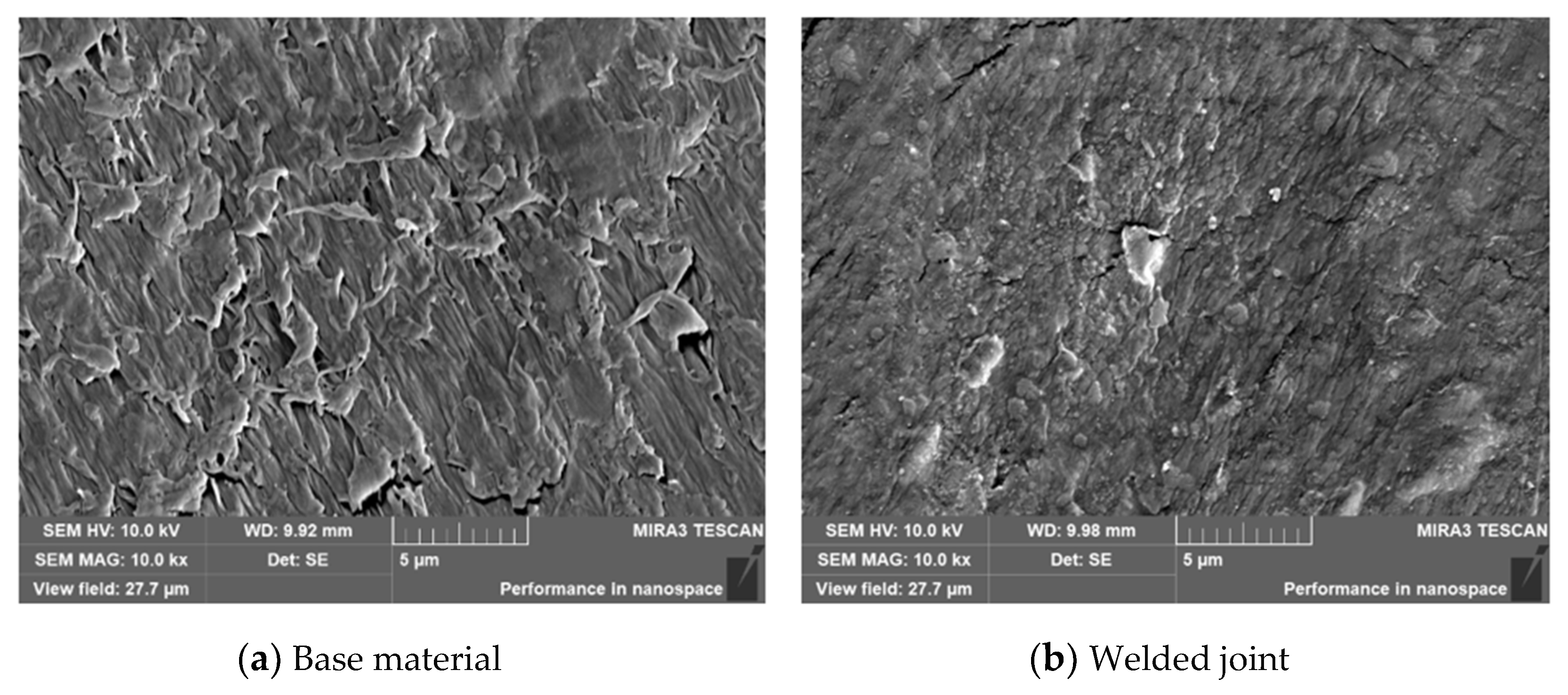 Polymers 14 03936 g002 550