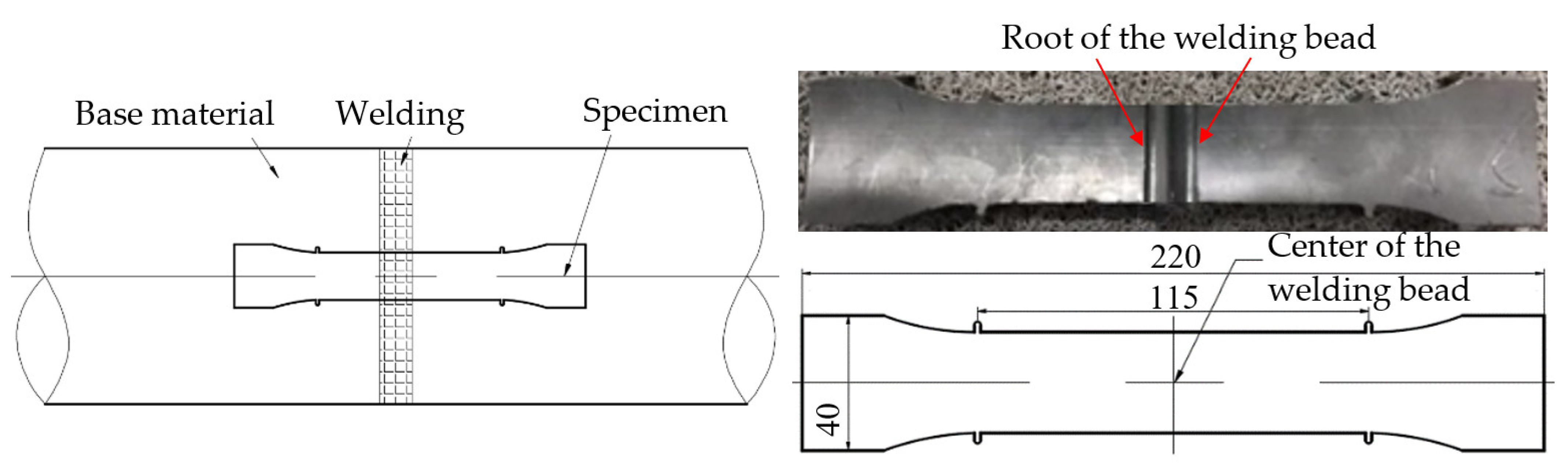 Polymers 14 03936 g003 550