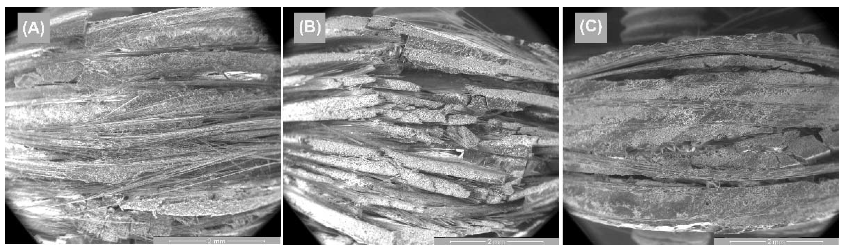 Polymers 14 03937 g013