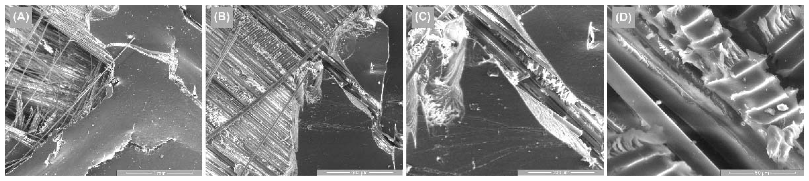 Polymers 14 03937 g015