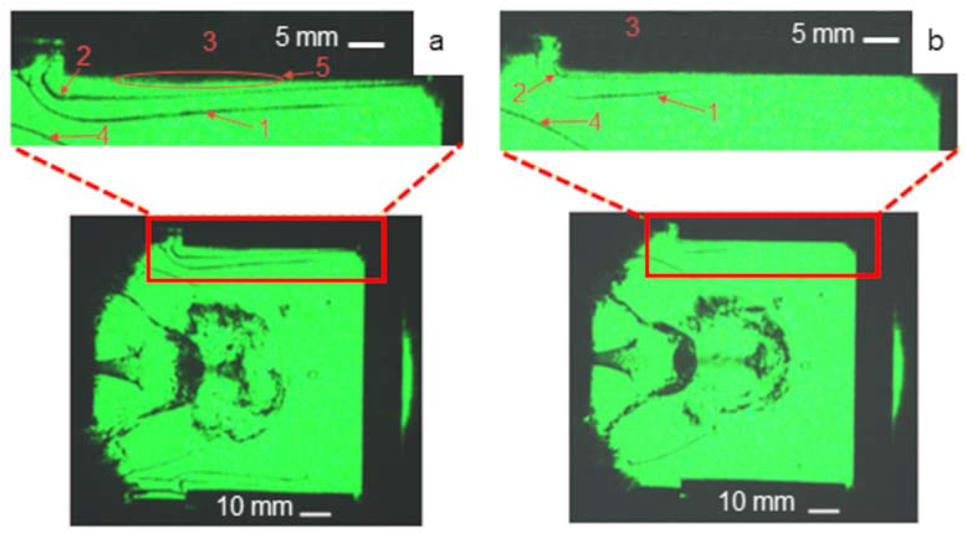 Polymers 14 03940 g006 Polymers 14 03940 g006