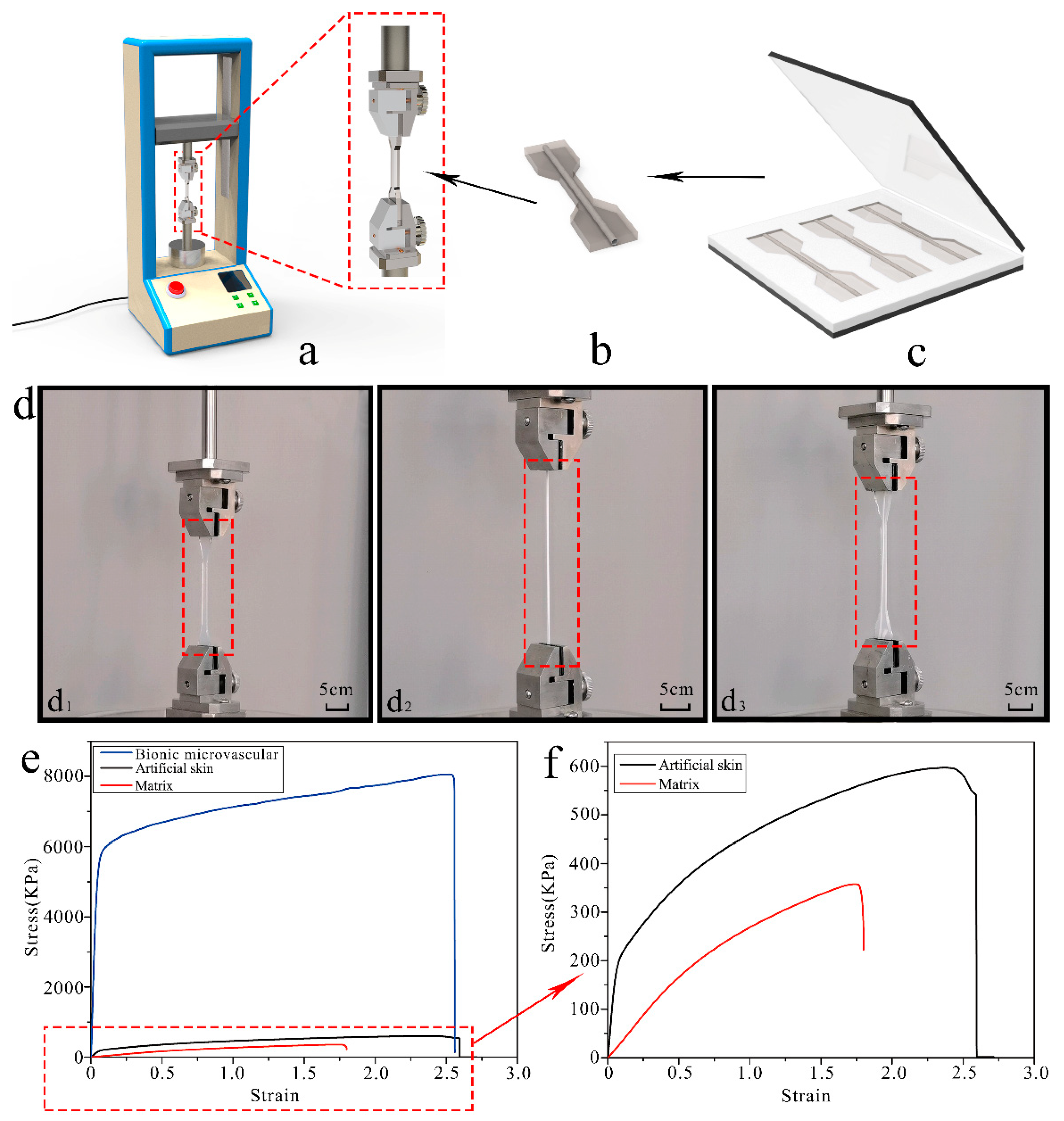 Polymers 14 03941 g003