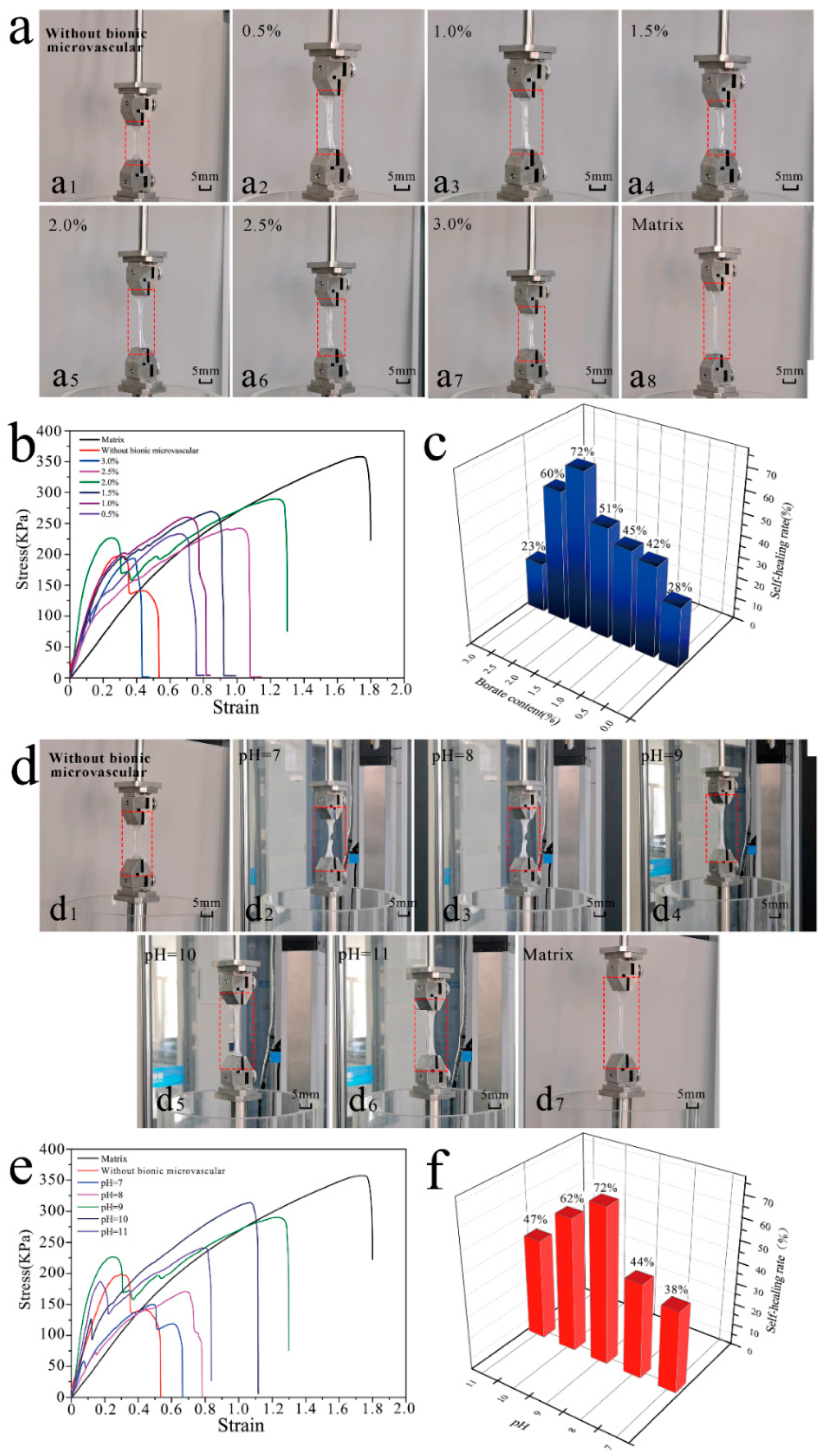 Polymers 14 03941 g005