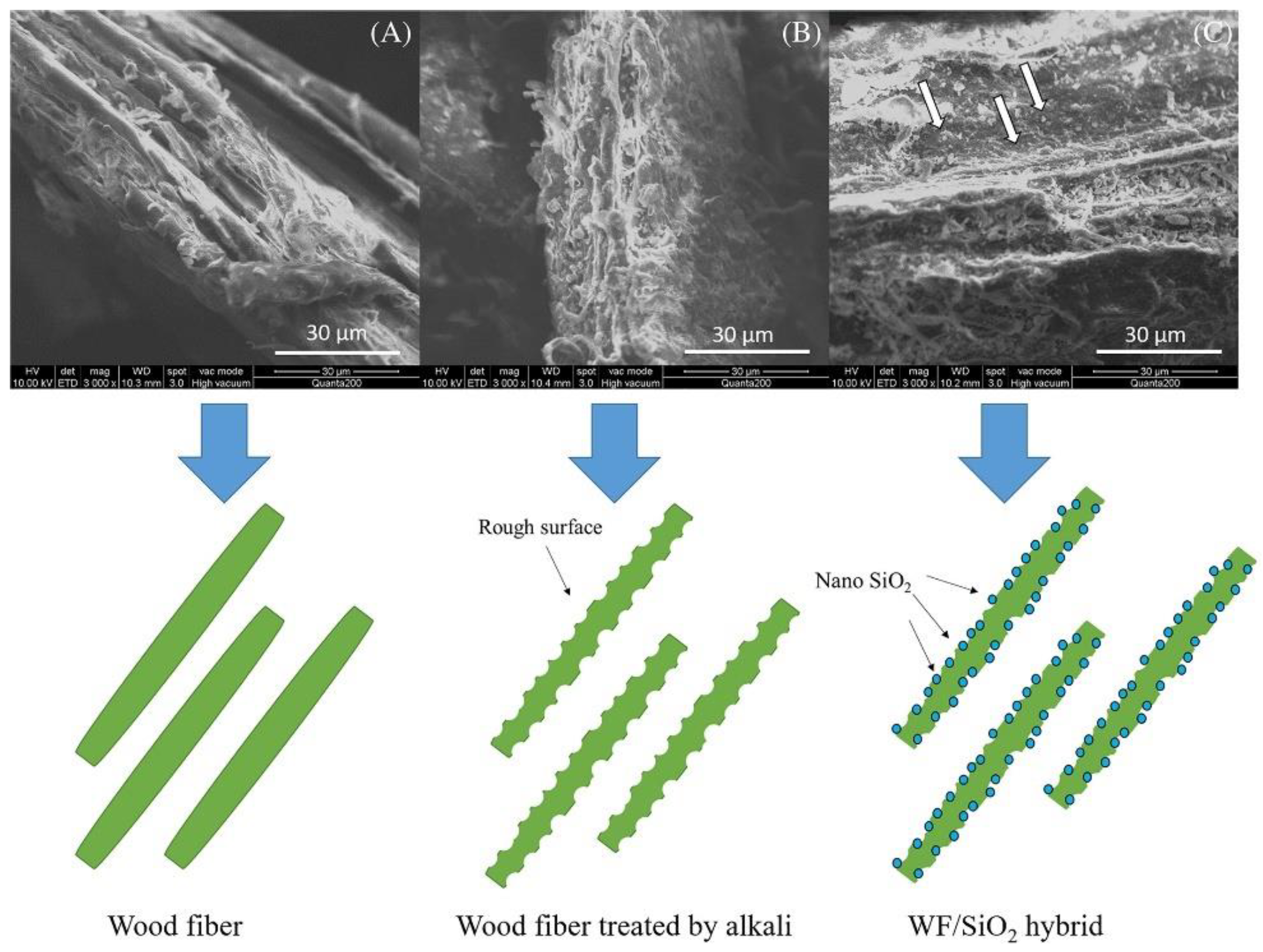 Polymers 14 03942 g004 Polymers 14 03942 g004
