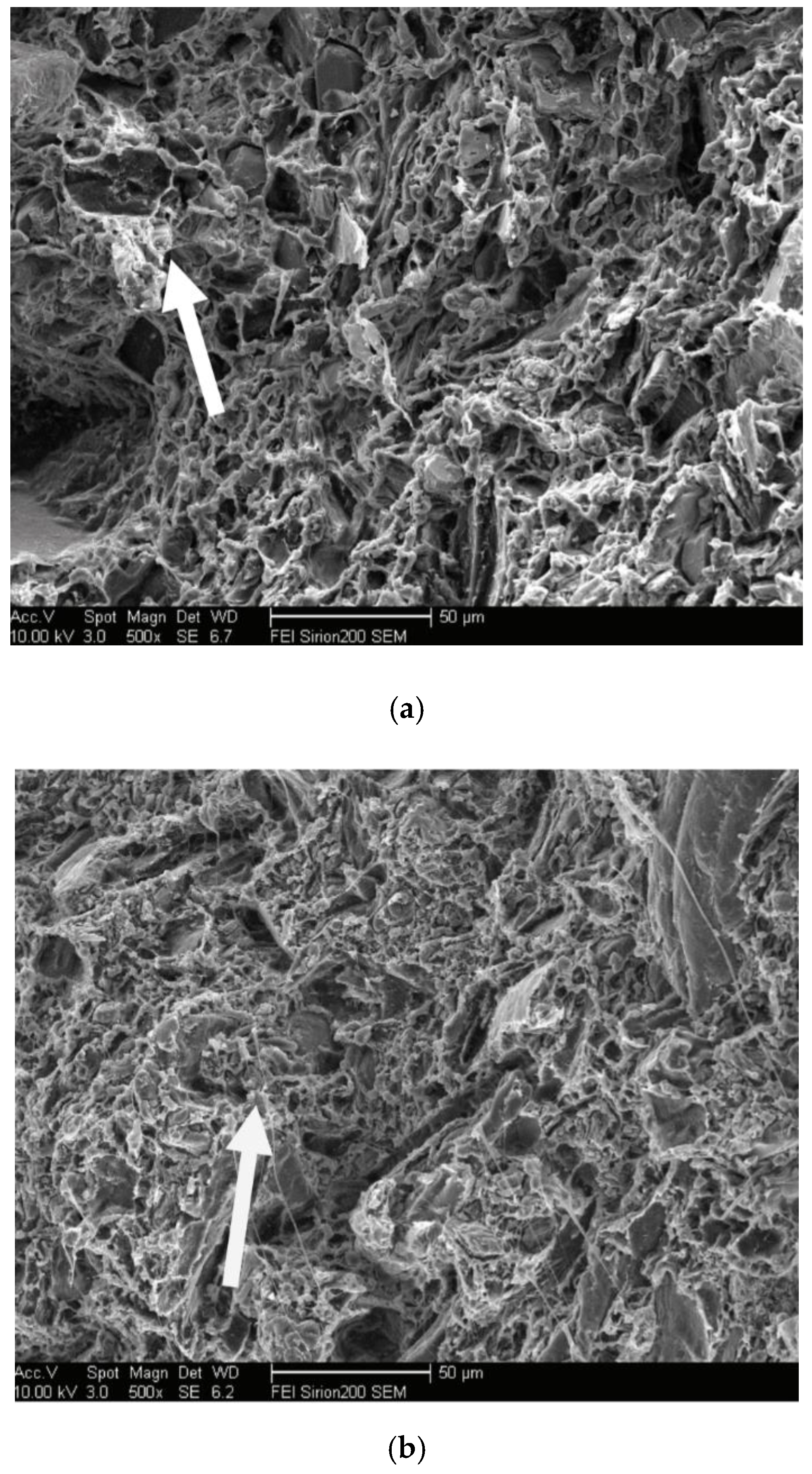Polymers 14 03942 g005 Polymers 14 03942 g005
