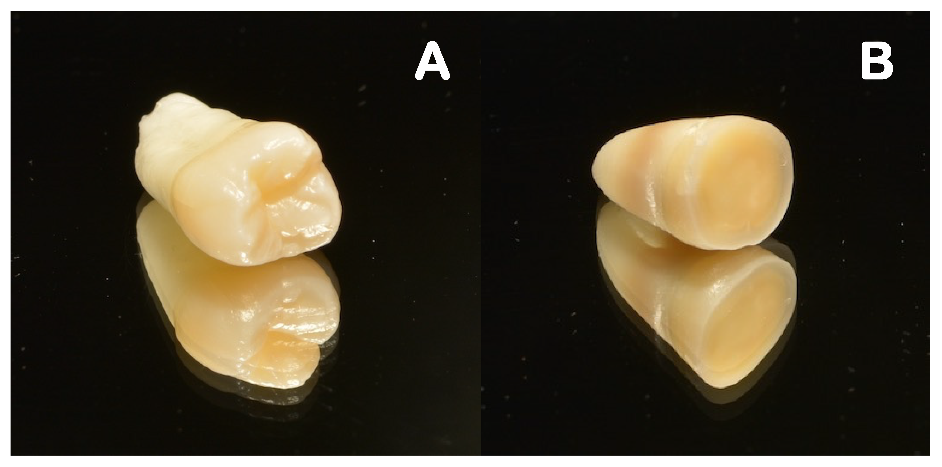 Polymers 14 03945 g002