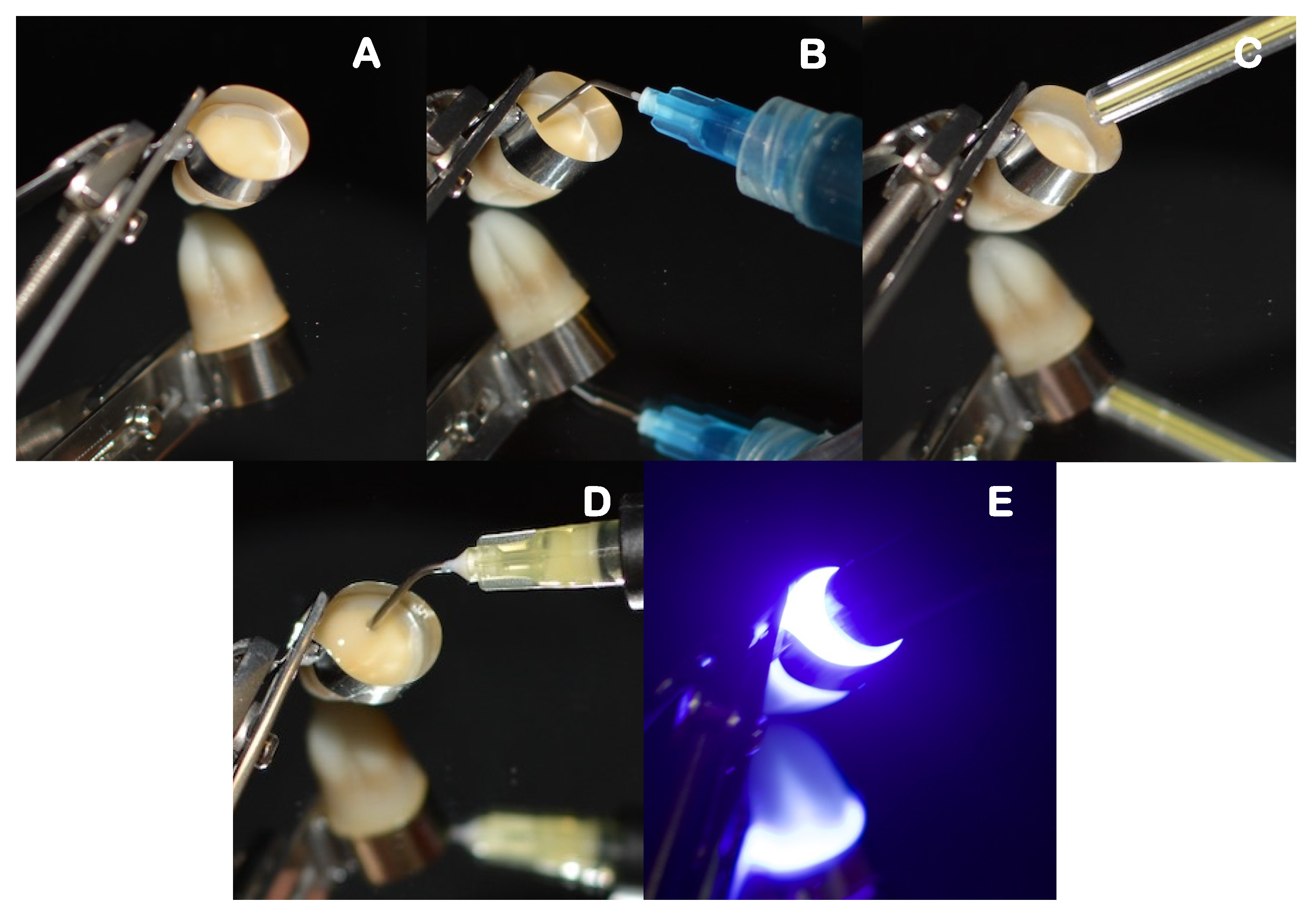 Polymers 14 03945 g003