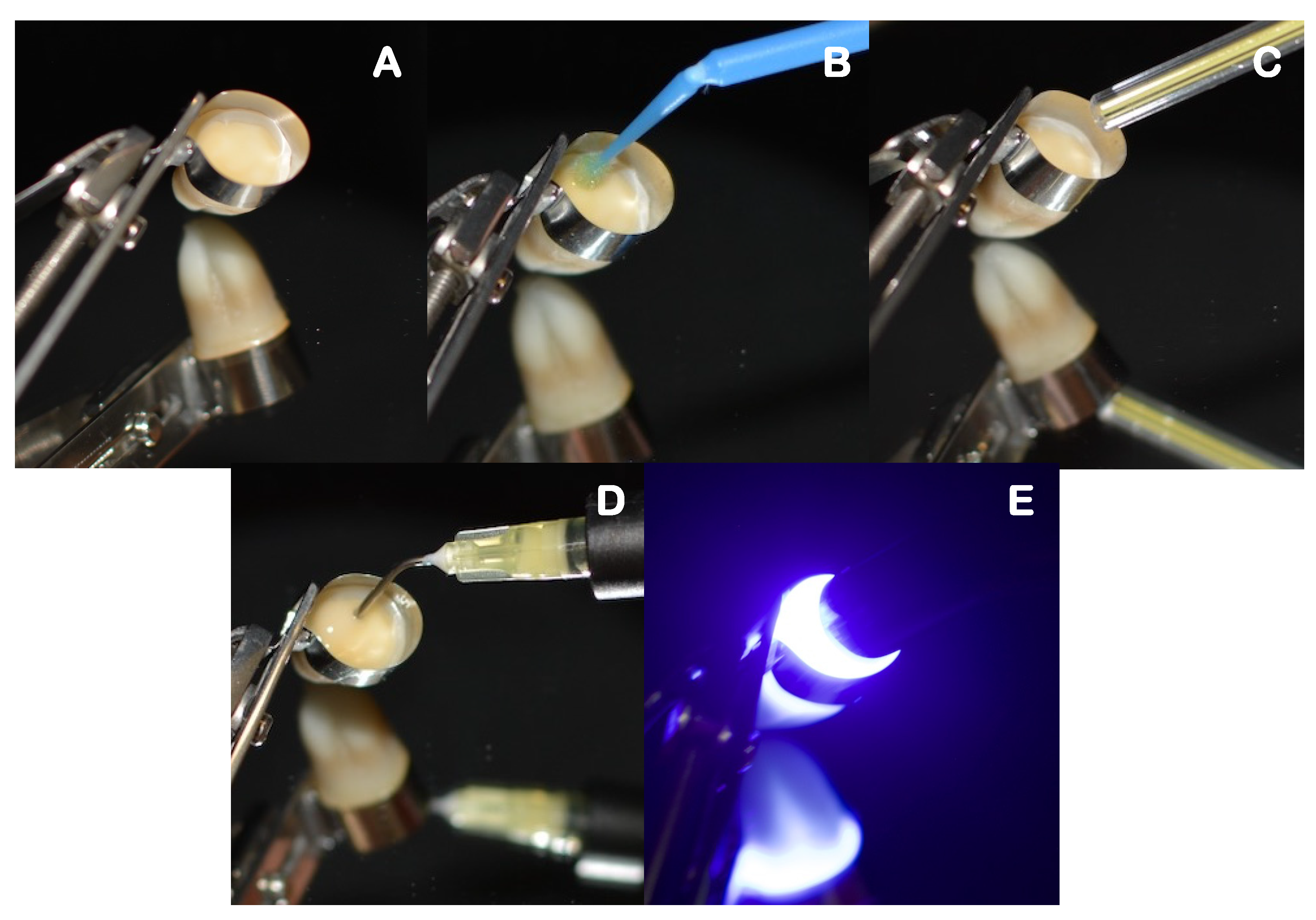 Polymers 14 03945 g004