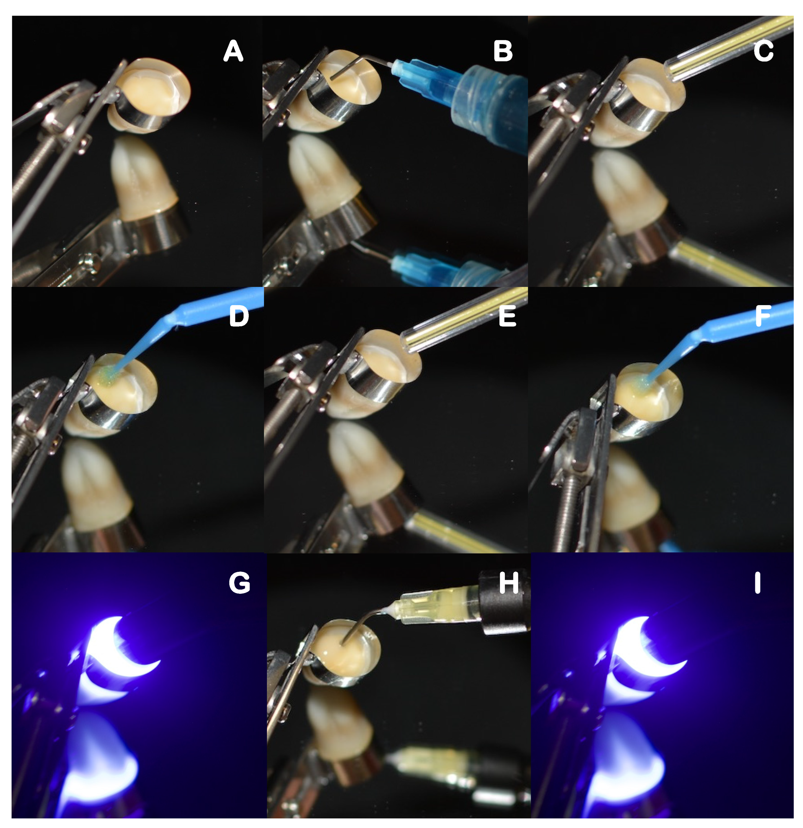 Polymers 14 03945 g005