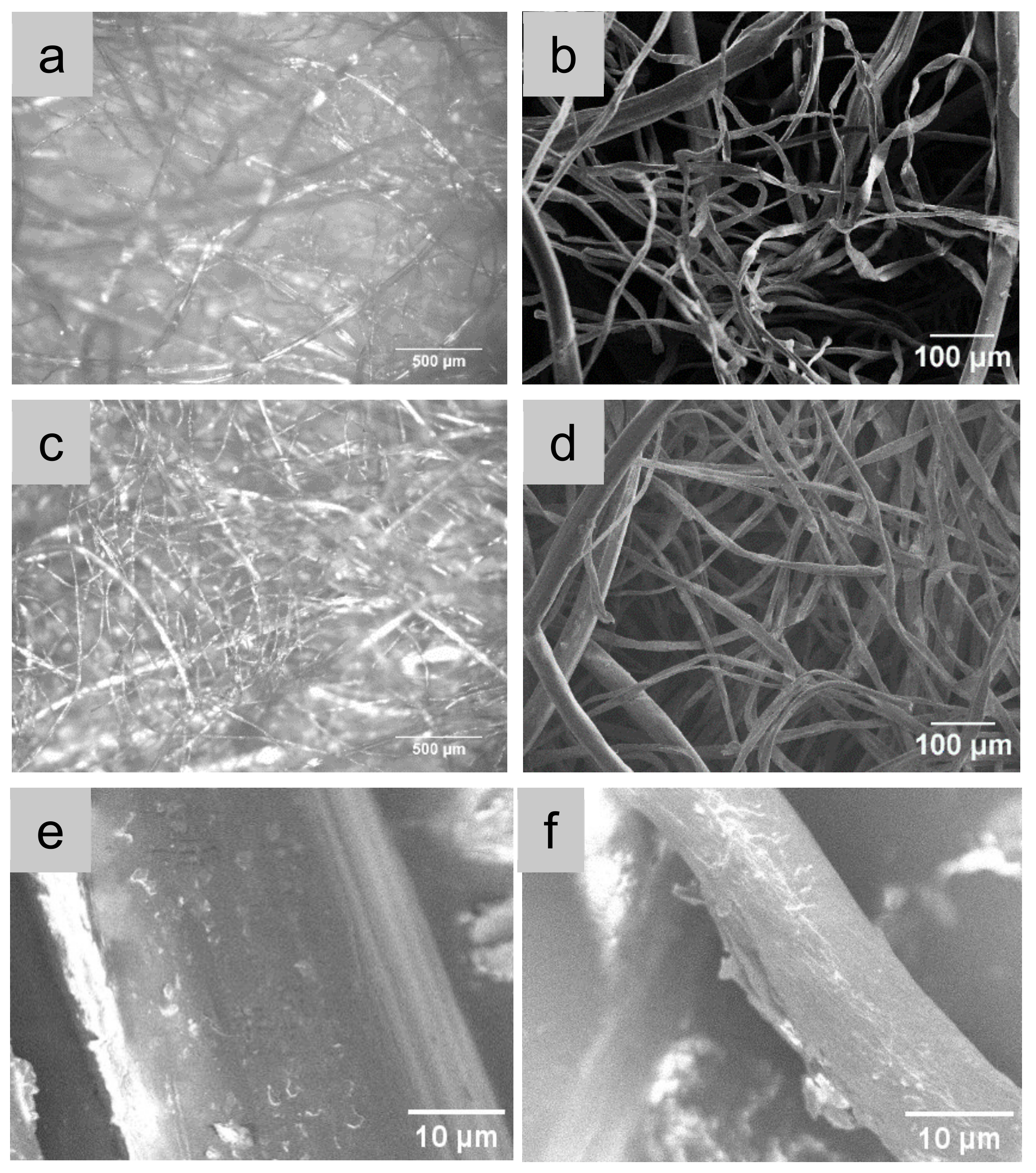 Polymers 14 03946 g003