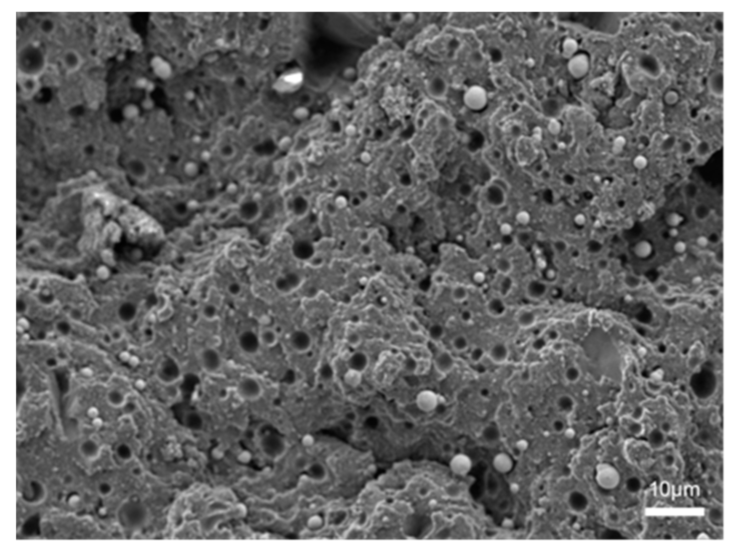 Polymers 14 03949 g007