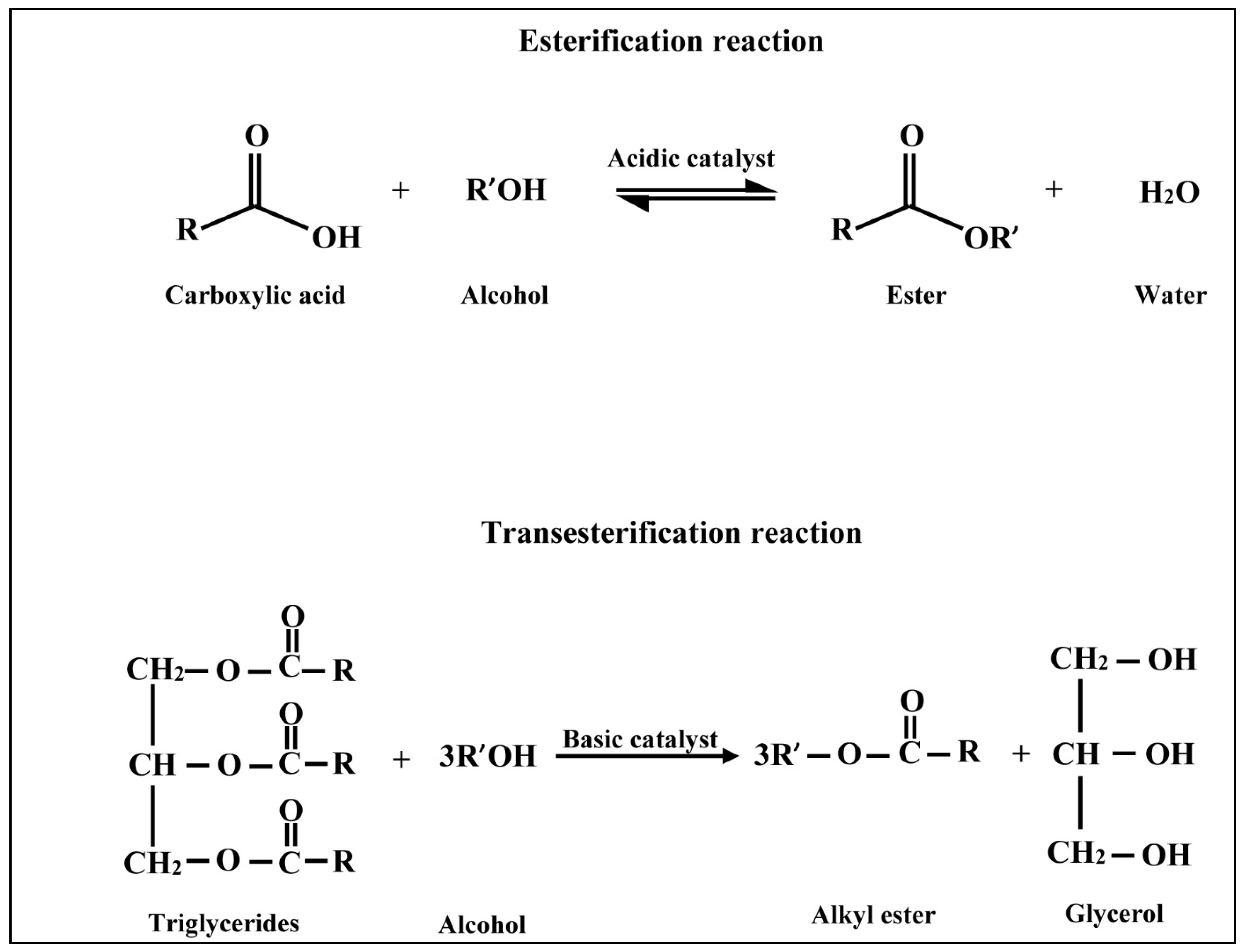 Polymers 14 03950 g004