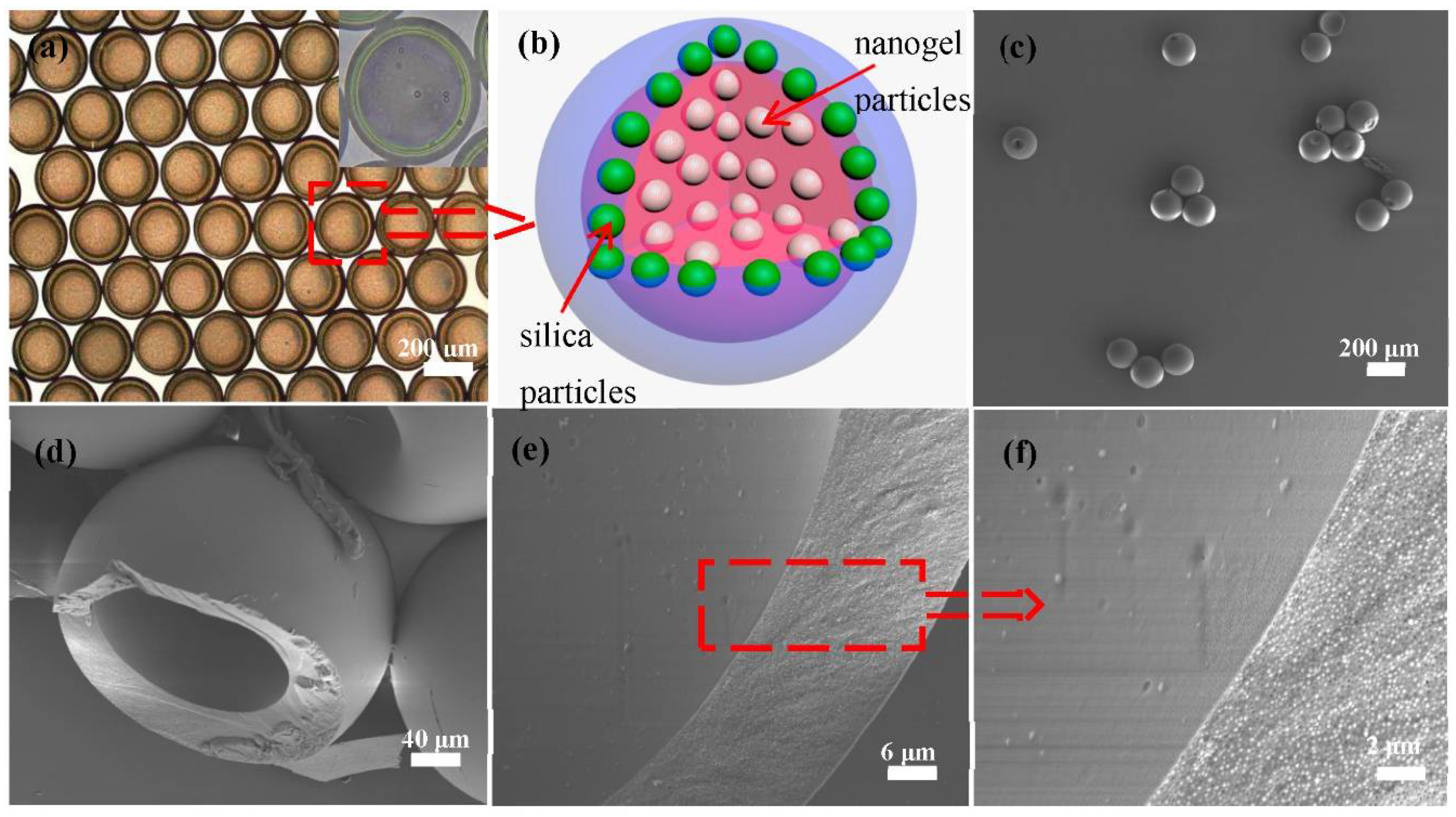 Polymers 14 03954 g002