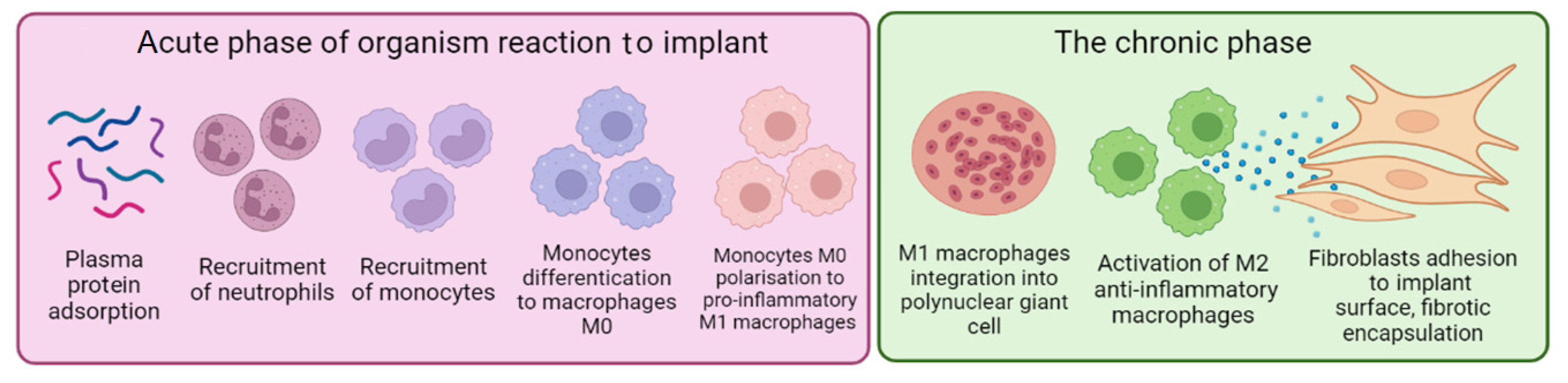 Polymers 14 03958 g001