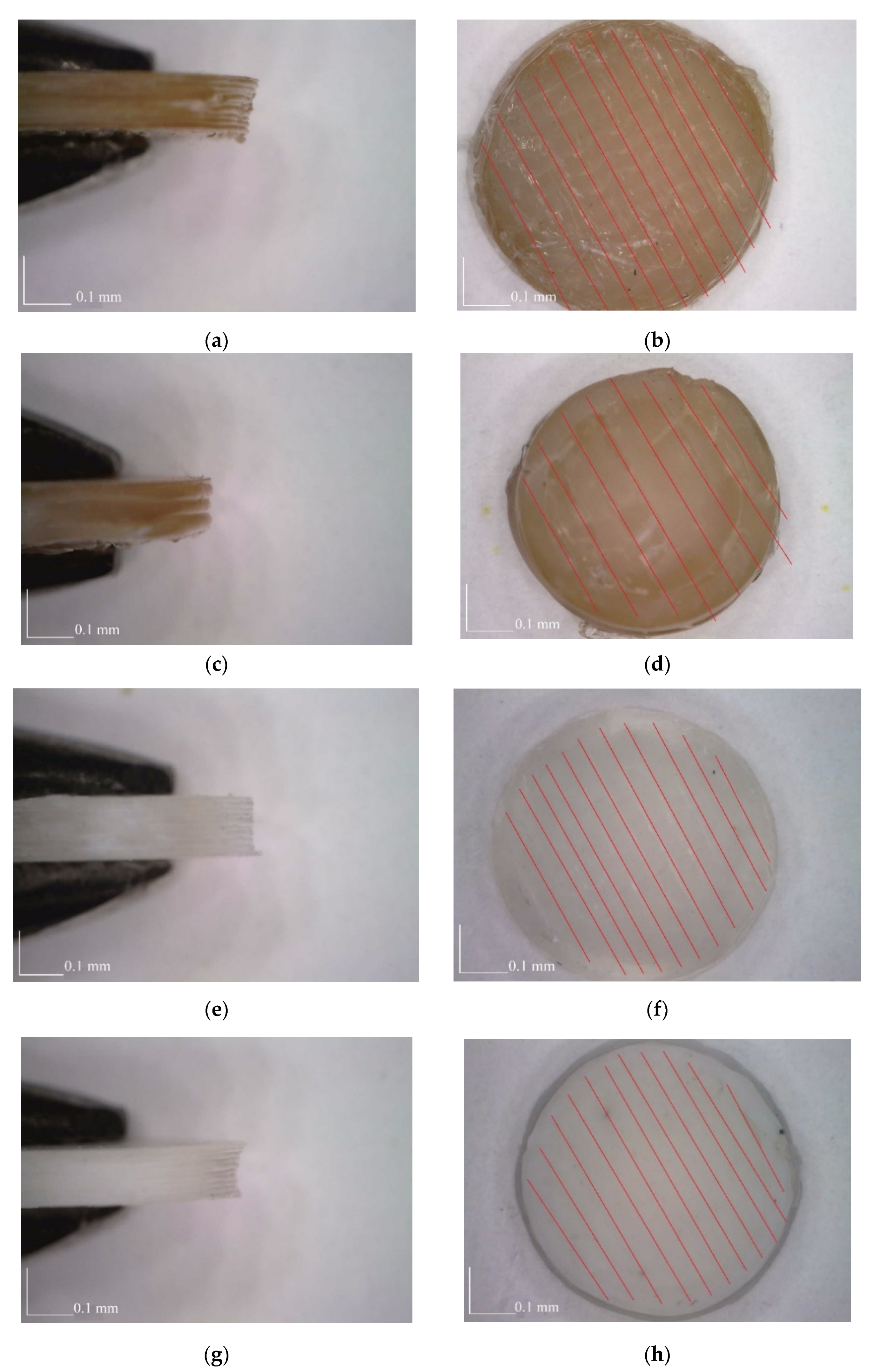 Polymers 14 03958 g003