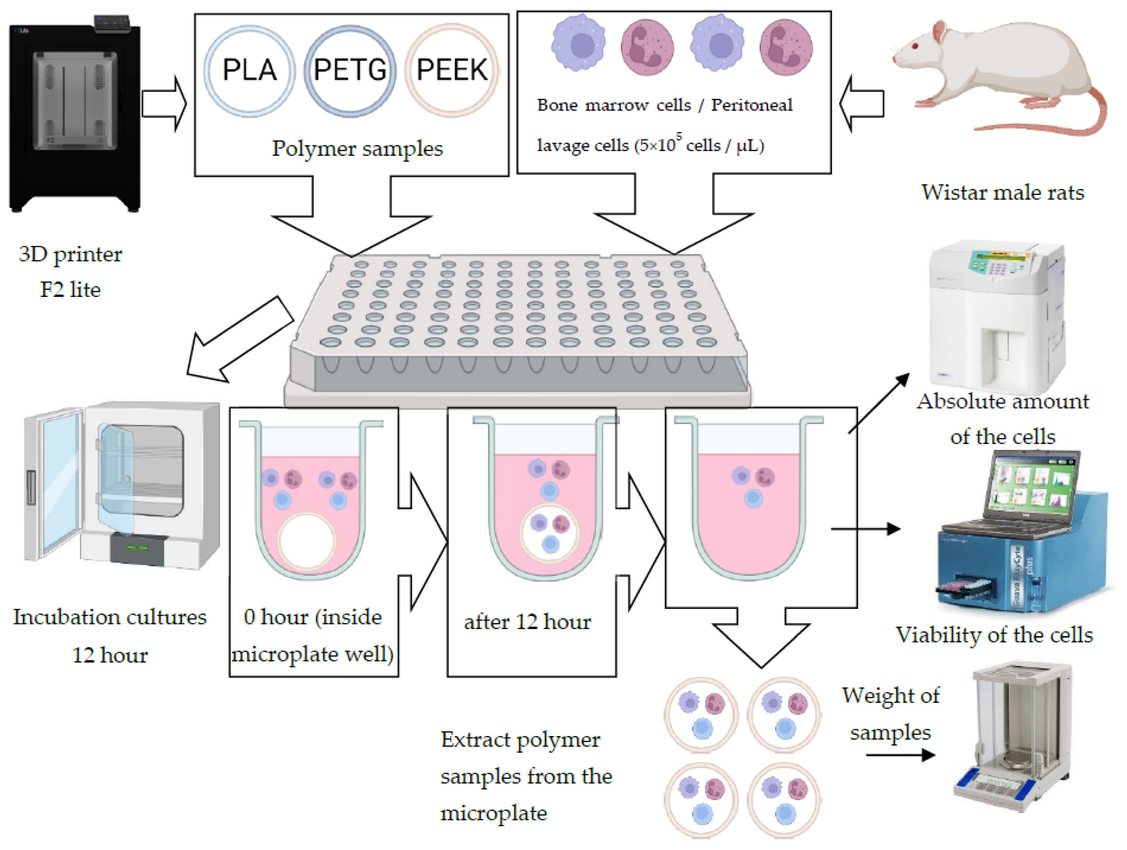 Polymers 14 03958 g004