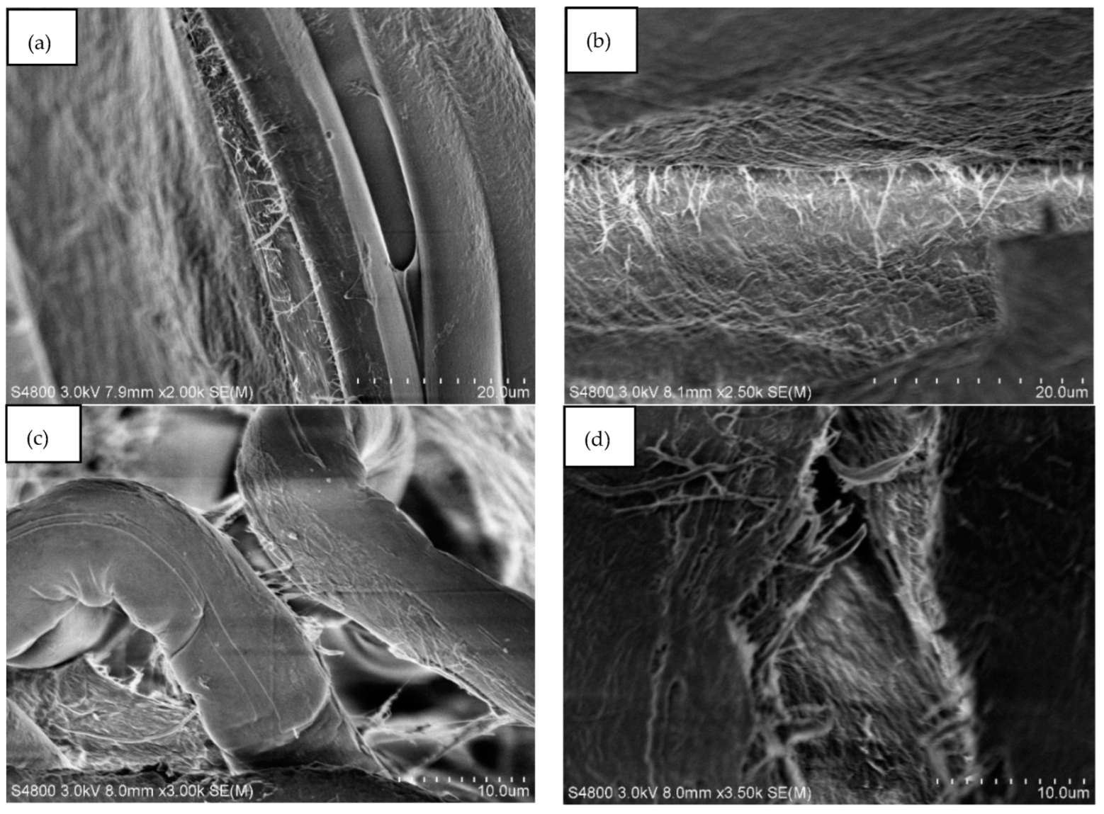 Polymers 14 03959 g009