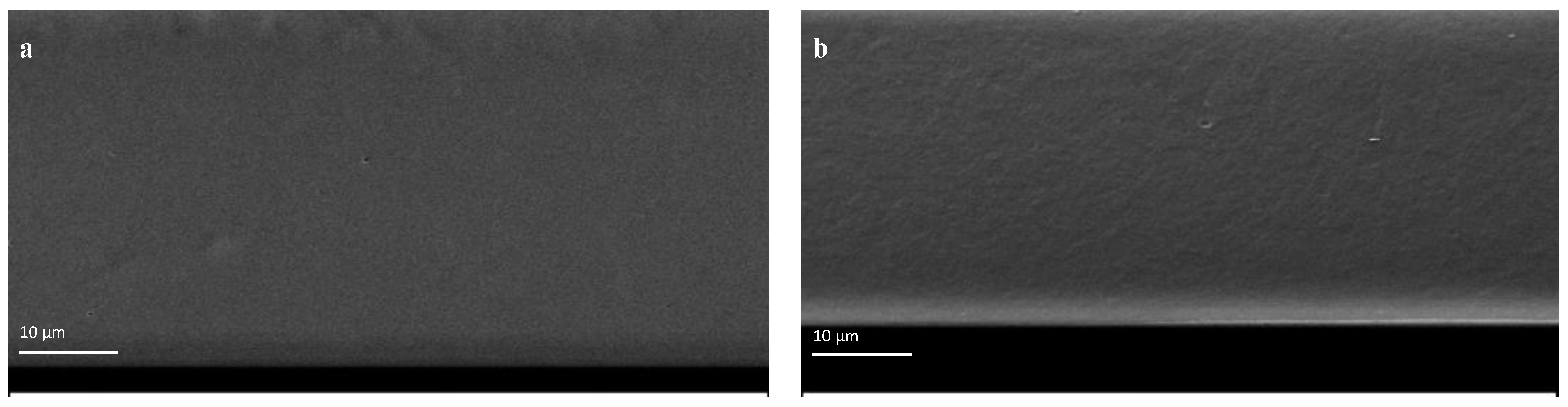 Polymers 14 03960 g002 550
