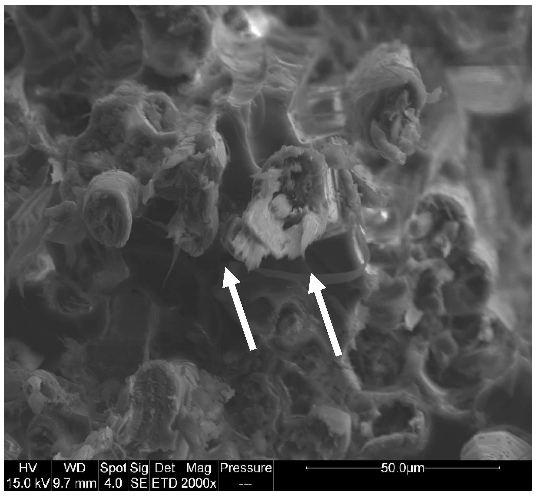 Polymers 14 03962 g010 Polymers 14 03962 g010