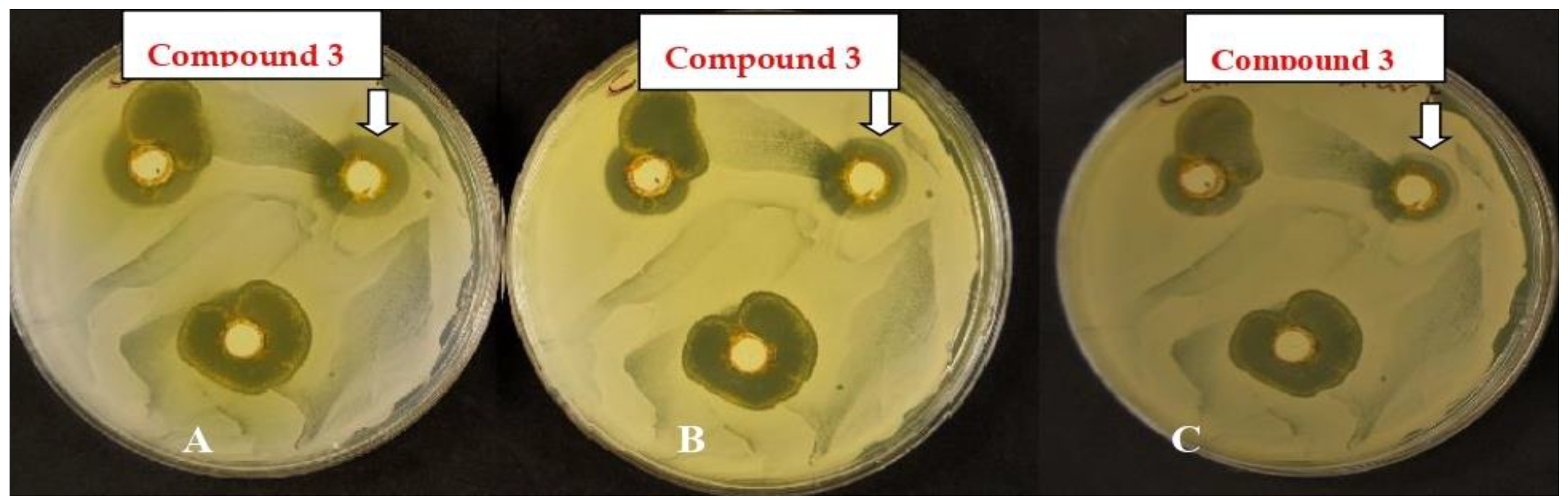Polymers 14 03966 g011 Polymers 14 03966 g011