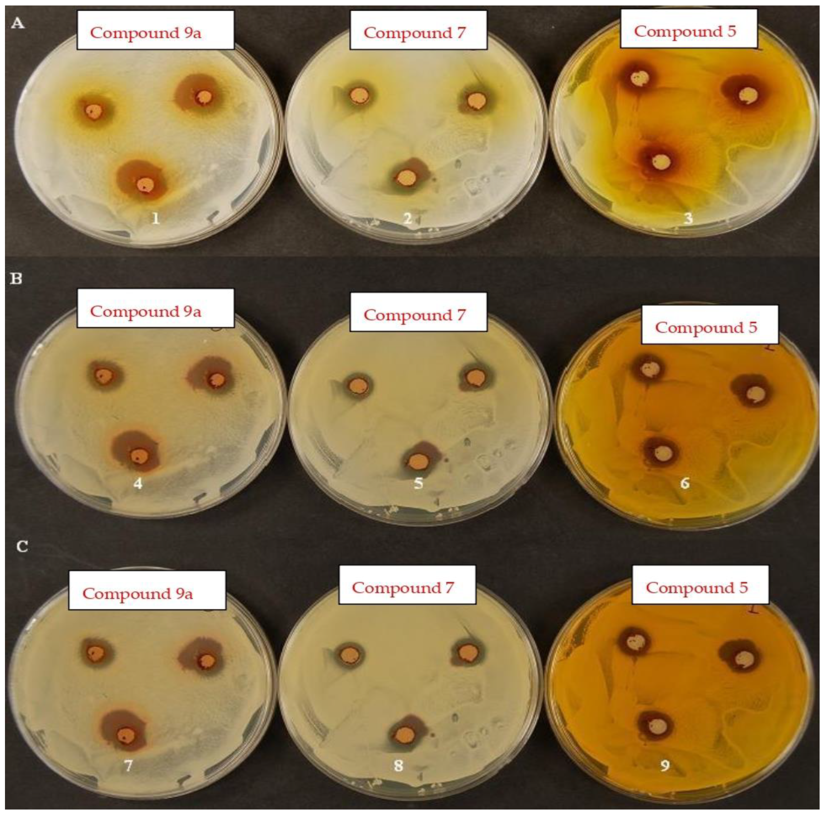 Polymers 14 03966 g012 Polymers 14 03966 g012
