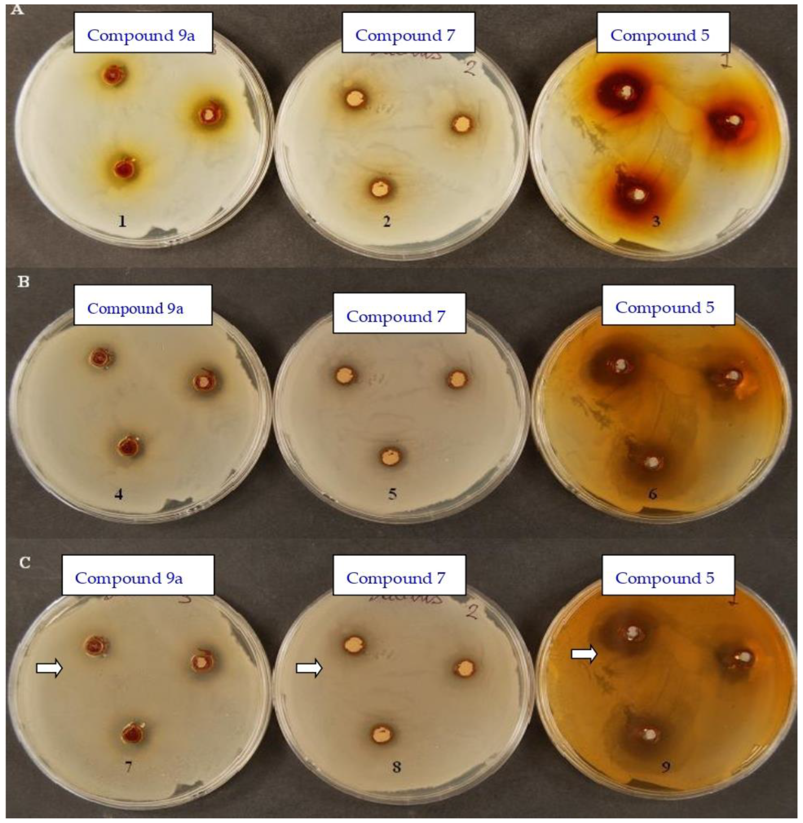 Polymers 14 03966 g013 Polymers 14 03966 g013