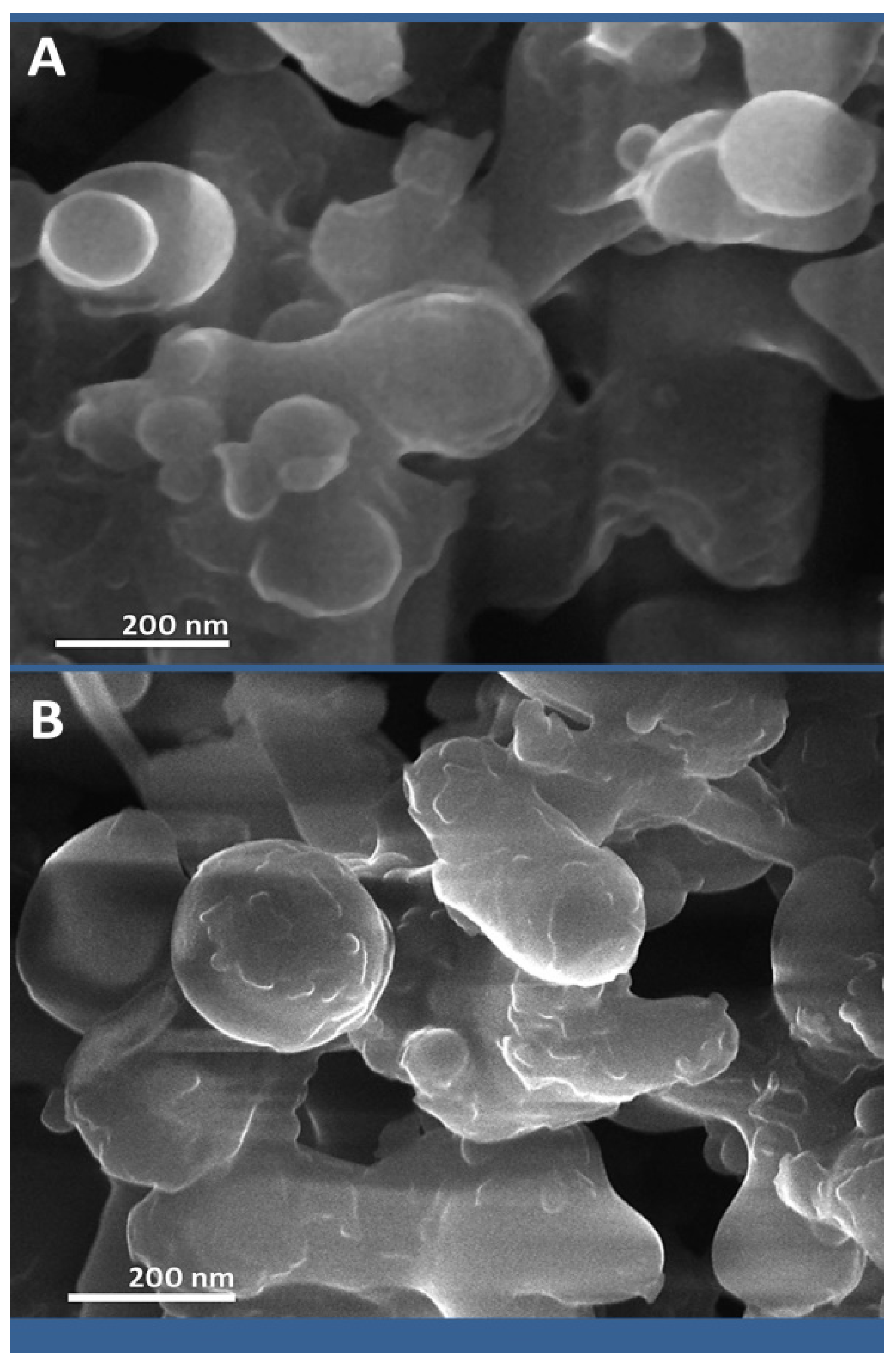 Polymers 14 03972 g002 Polymers 14 03972 g002
