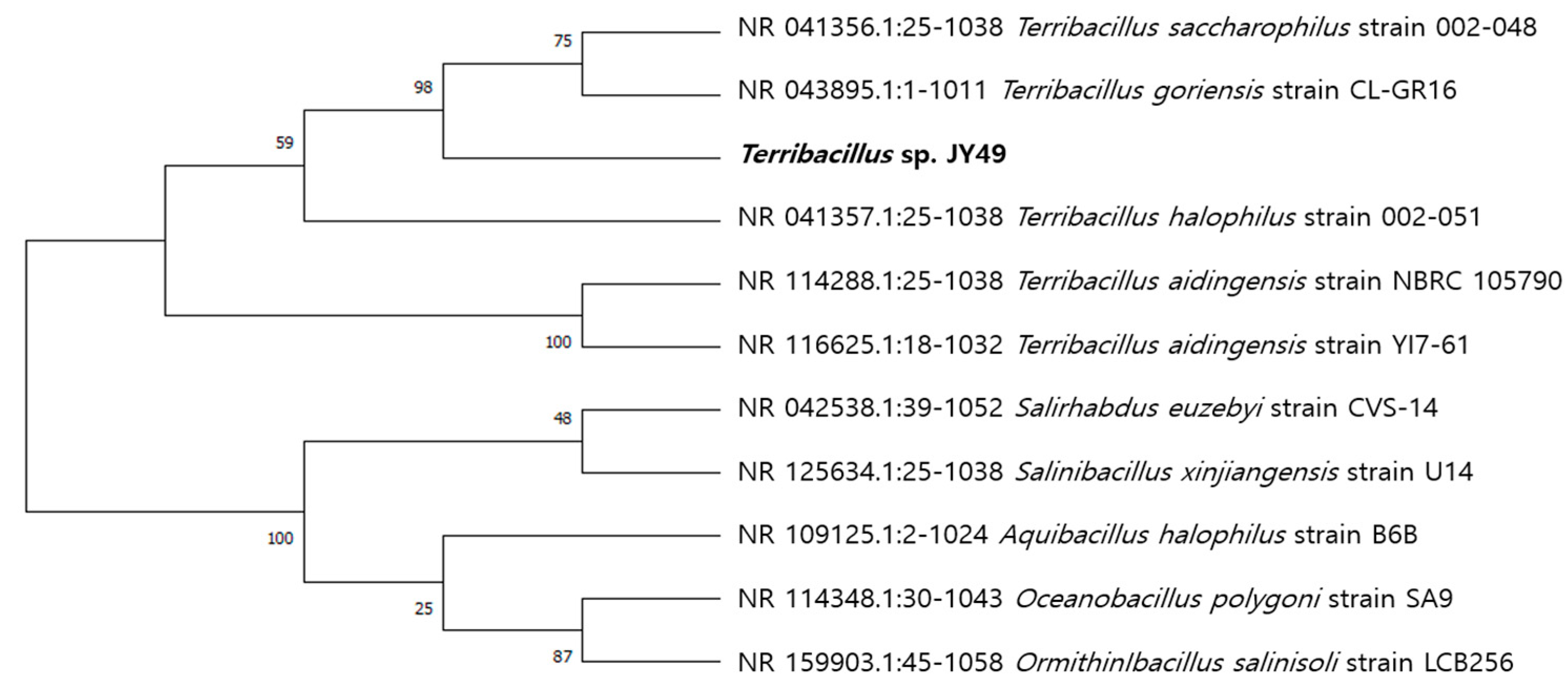 Polymers 14 03978 g002