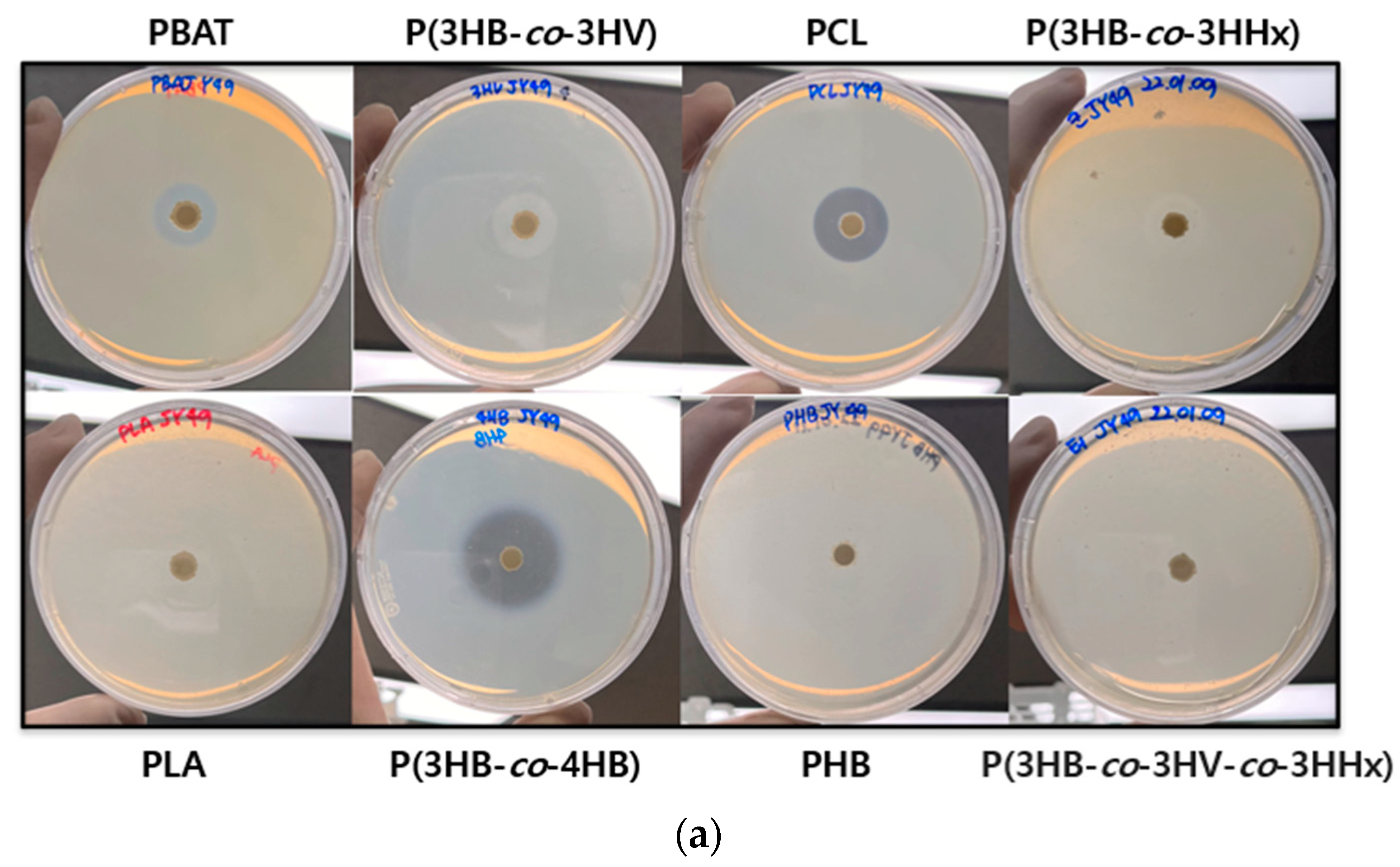 Polymers 14 03978 g006a
