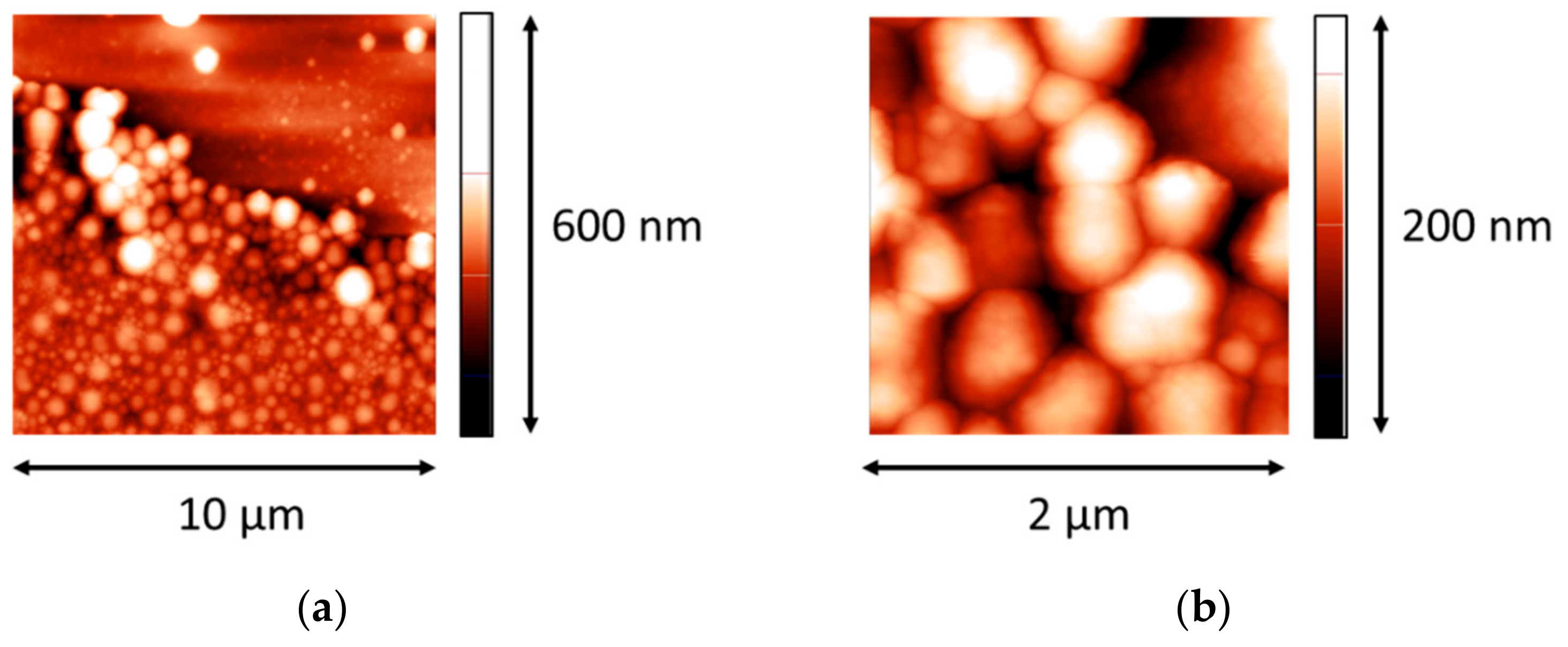 Polymers 14 03979 g001 Polymers 14 03979 g001