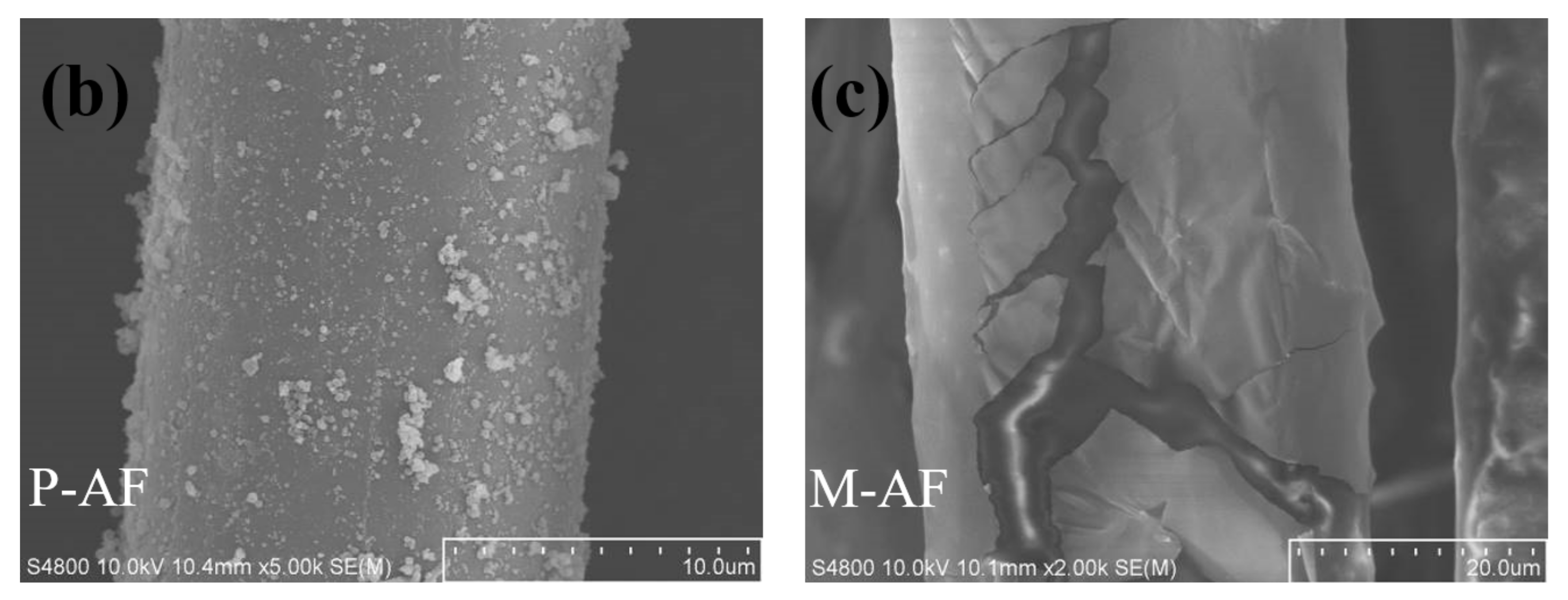 Polymers 14 03988 g007b Polymers 14 03988 g007b