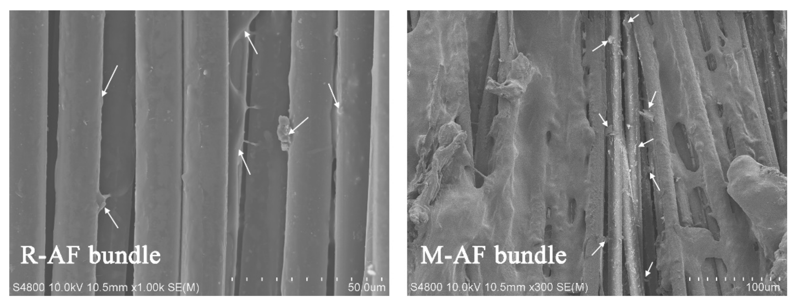 Polymers 14 03988 g010 Polymers 14 03988 g010