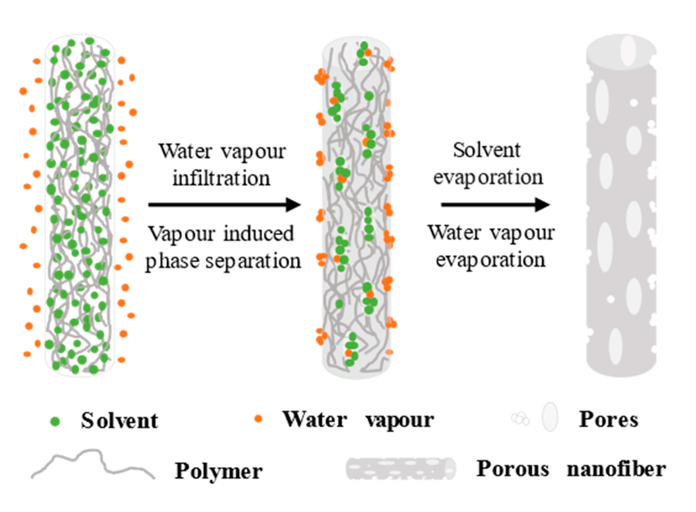 Polymers 14 03990 g003