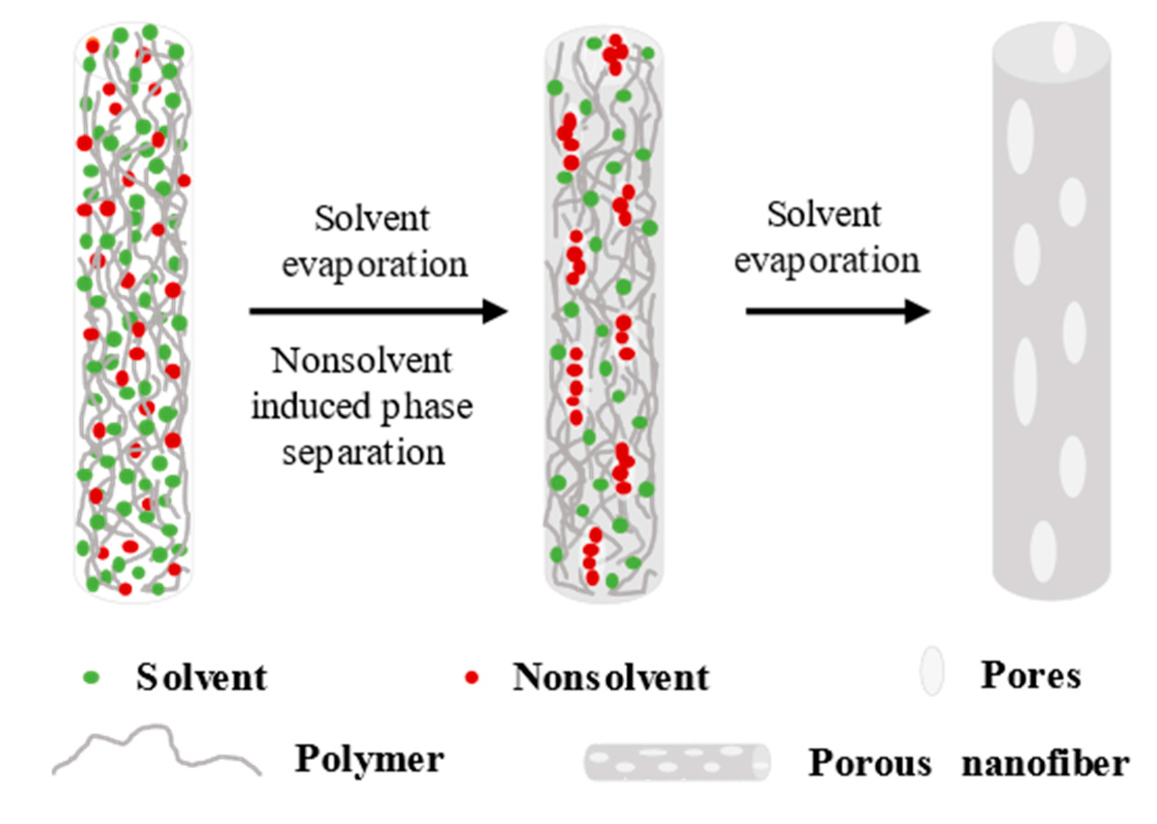 Polymers 14 03990 g004