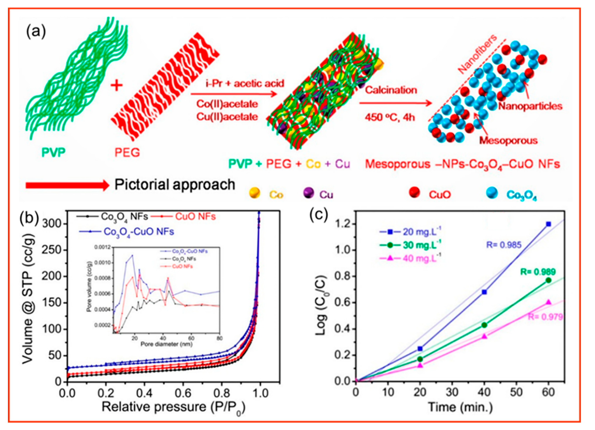 Polymers 14 03990 g008