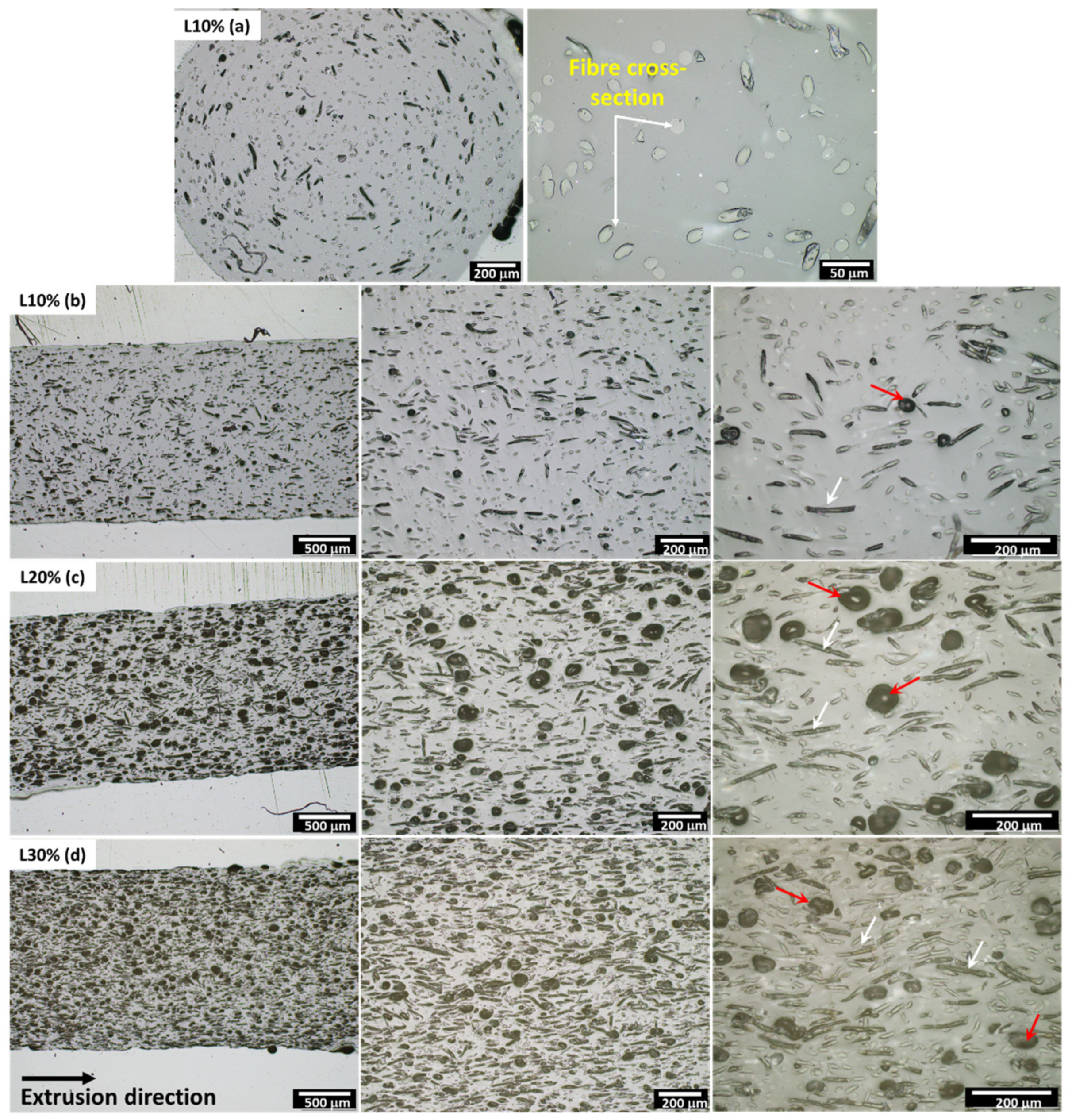 Polymers 14 03991 g003