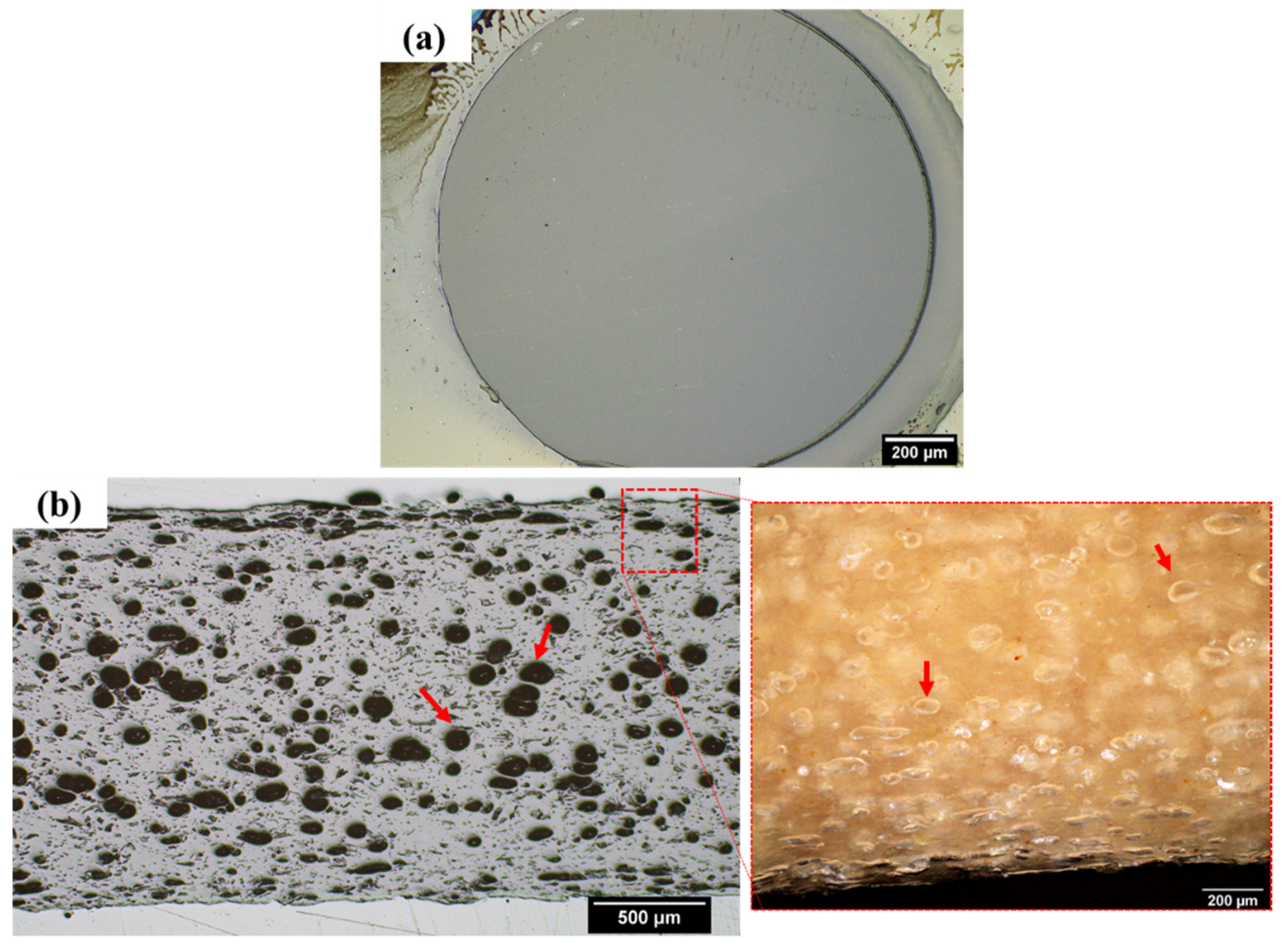 Polymers 14 03991 g004